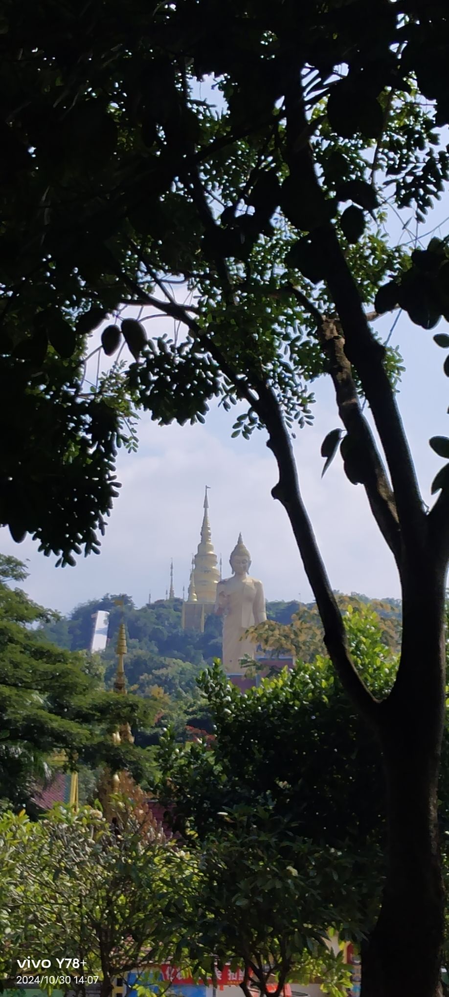 西双版纳勐泐文化旅游区-山顶公园