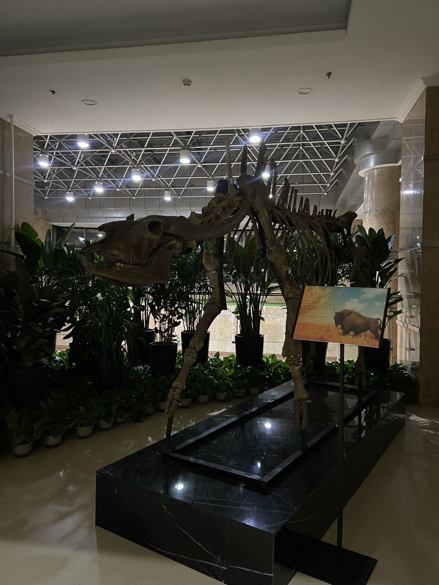吉林大学考古学院