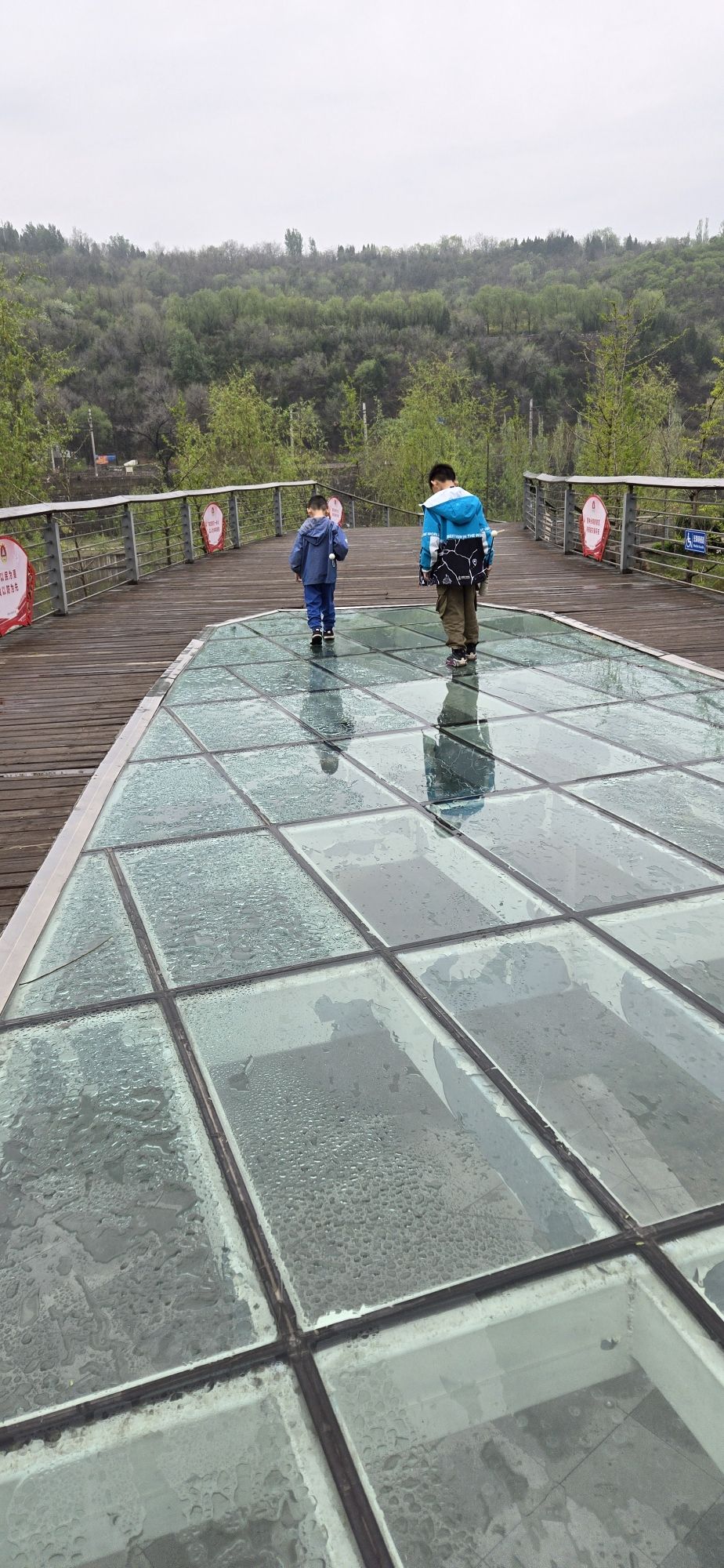 五渡湿地公园旅行图片 1