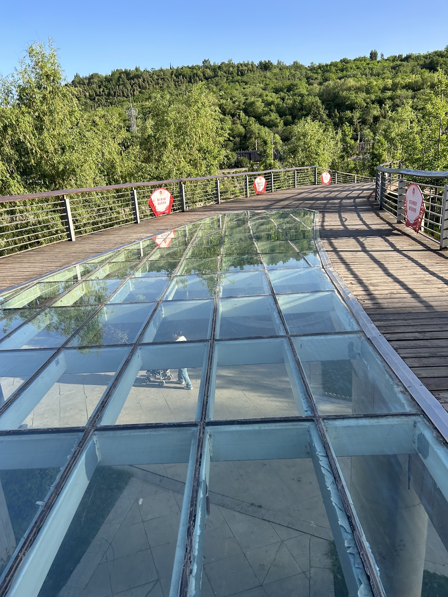 五渡湿地公园旅行图片 1