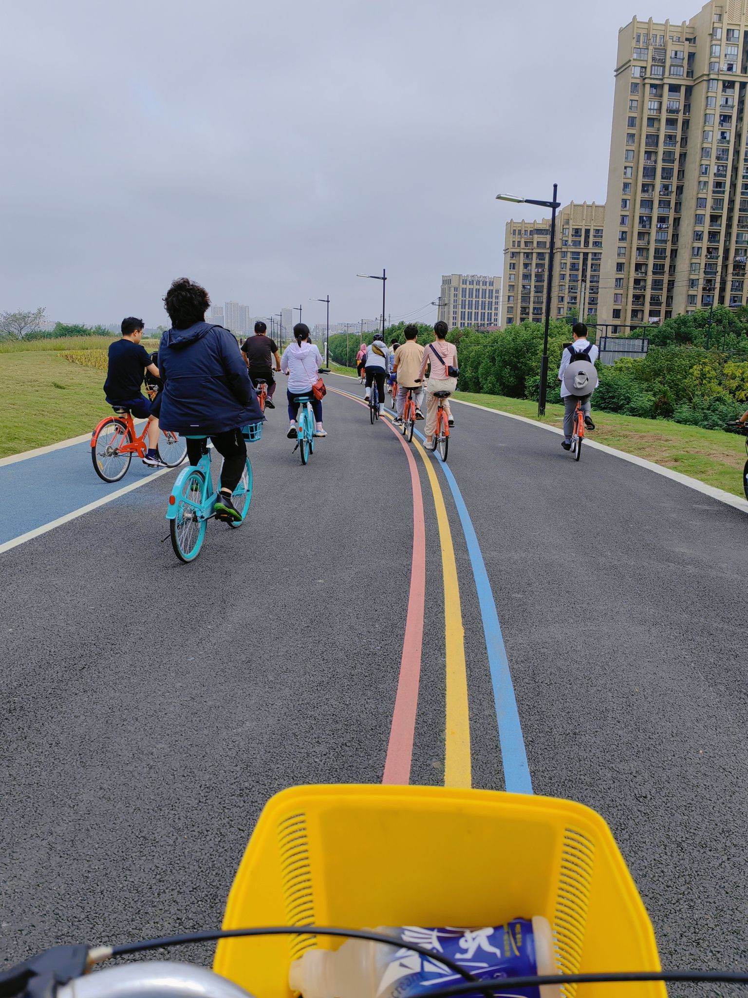 稻田公园旅行图片 2