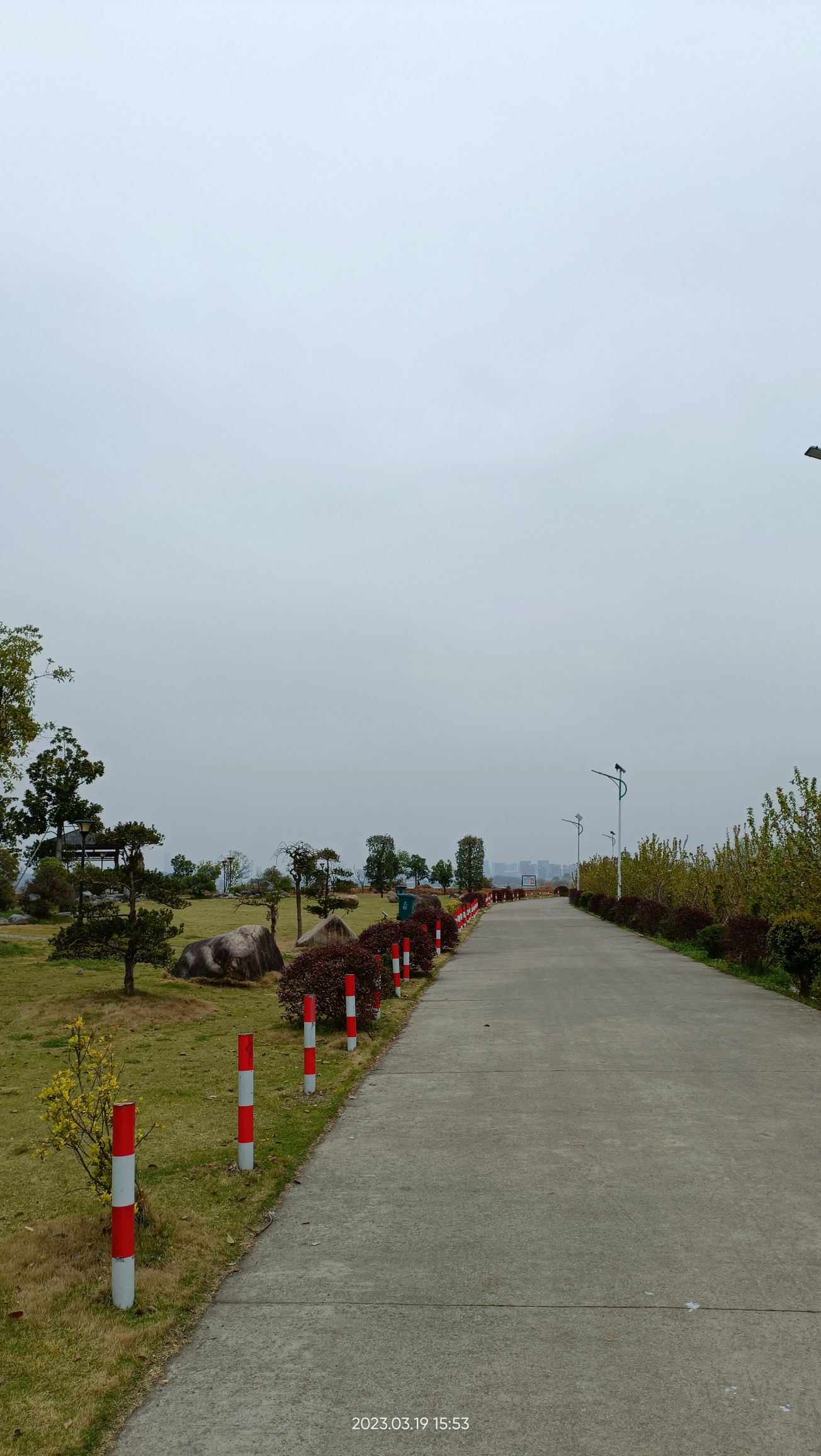 稻田公园旅行图片 2
