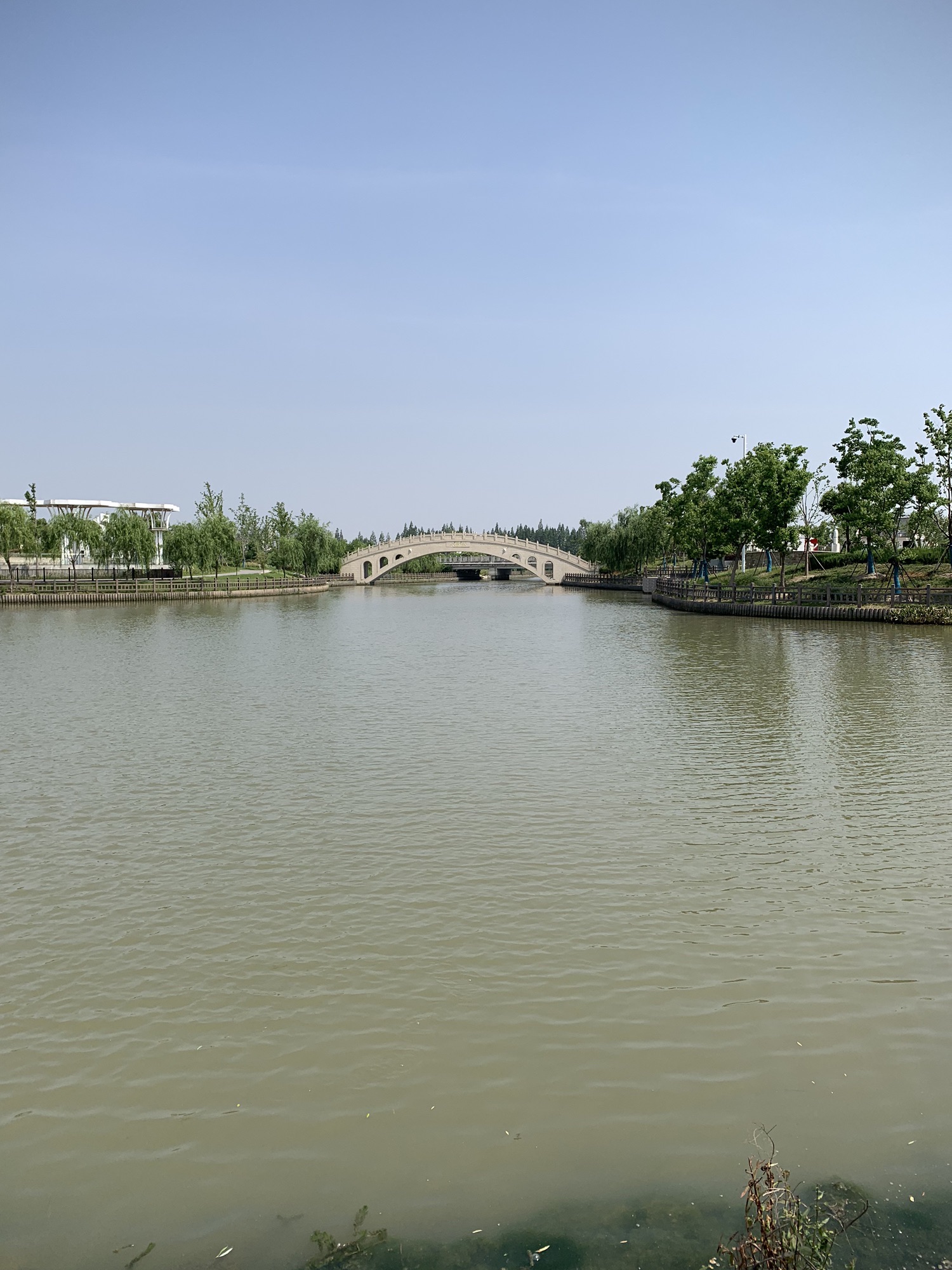 达令港公园旅行图片 3