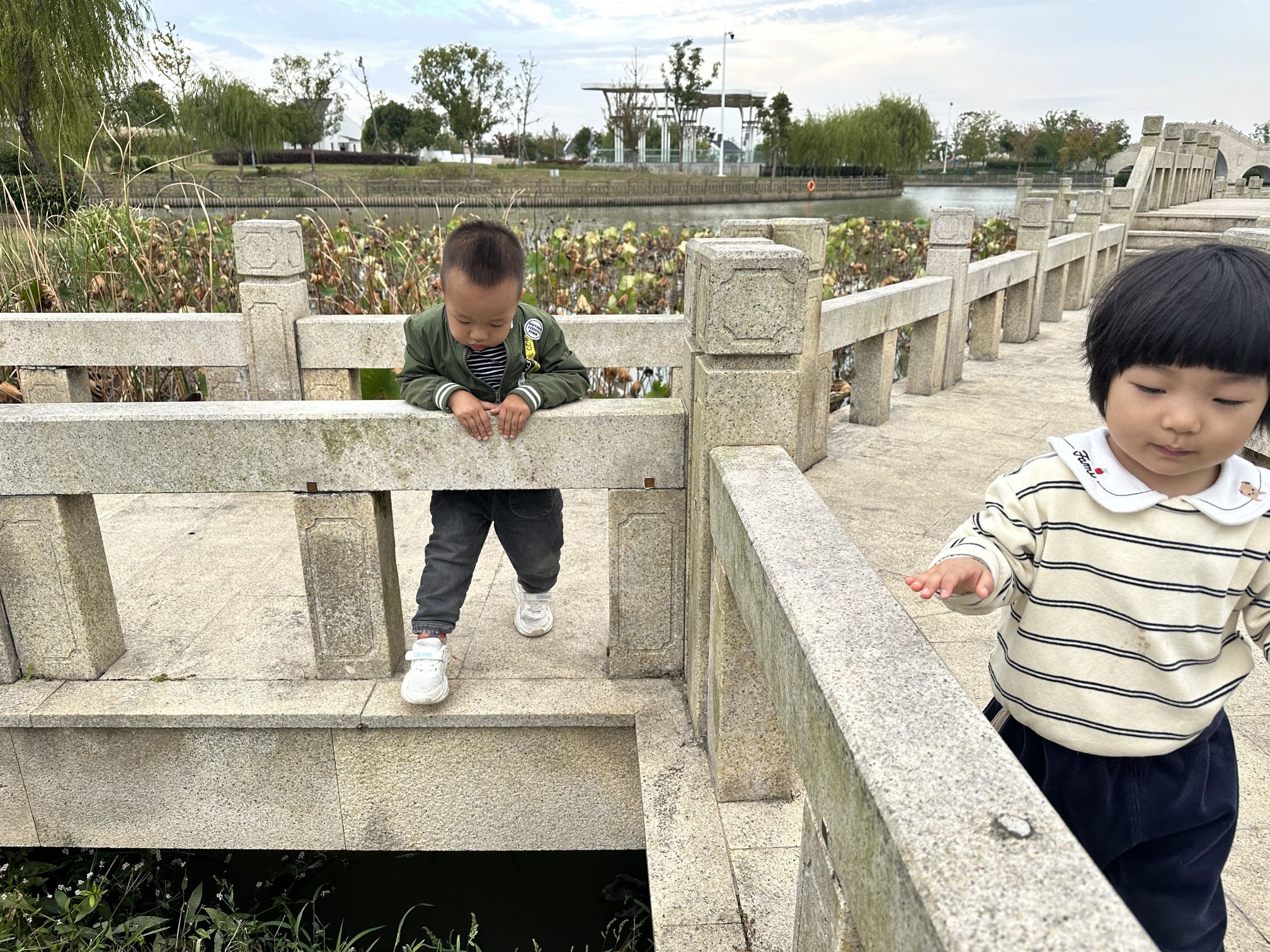 达令港公园旅行图片 1