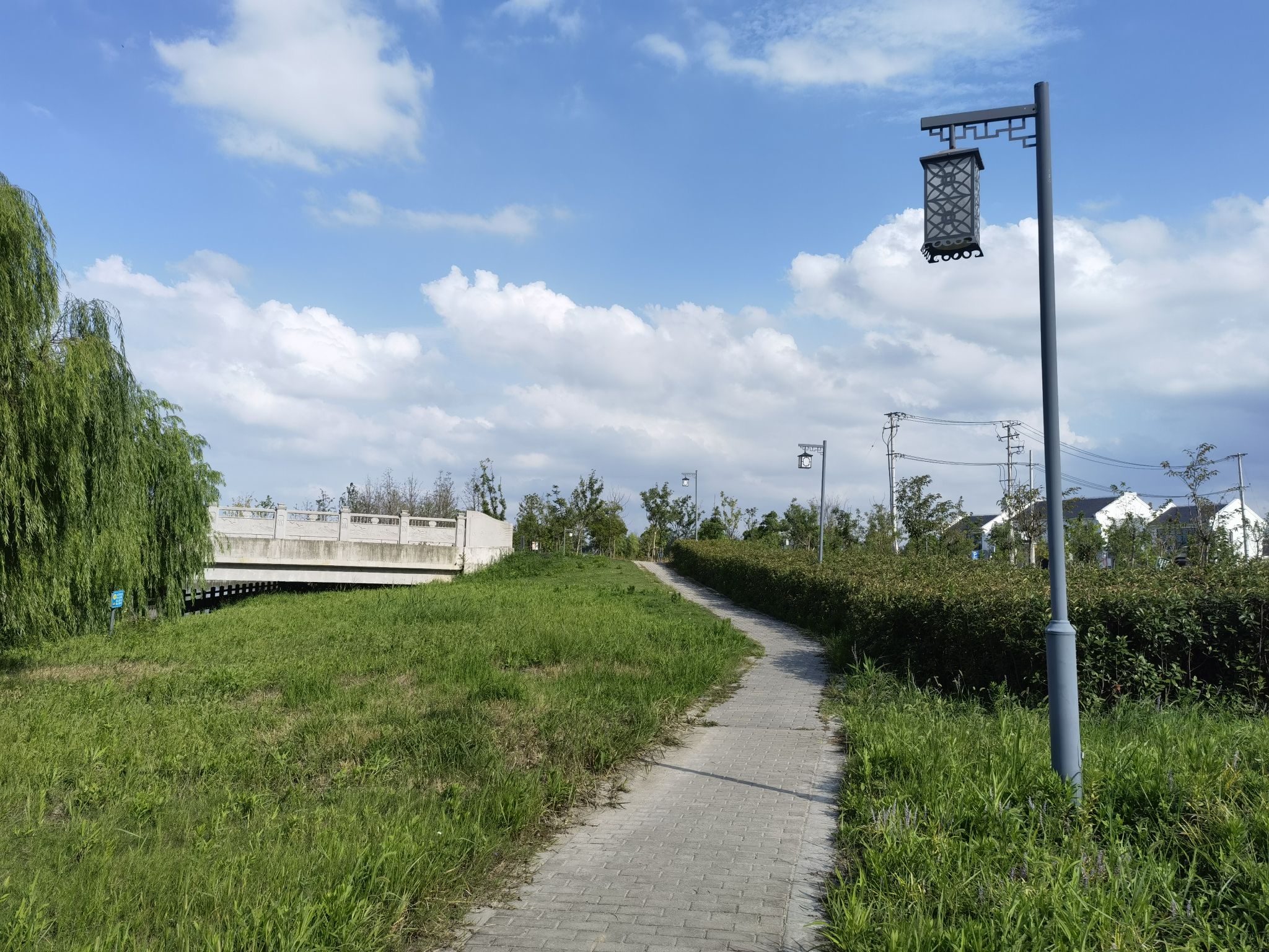 达令港公园旅行图片 1