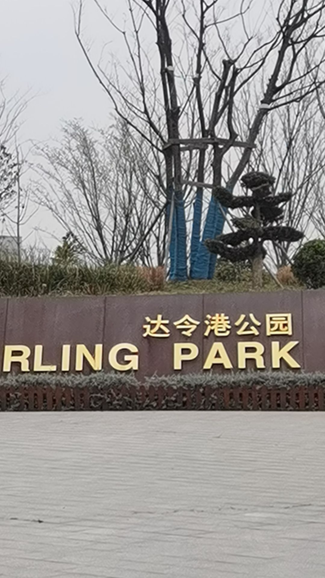 达令港公园旅行图片 1