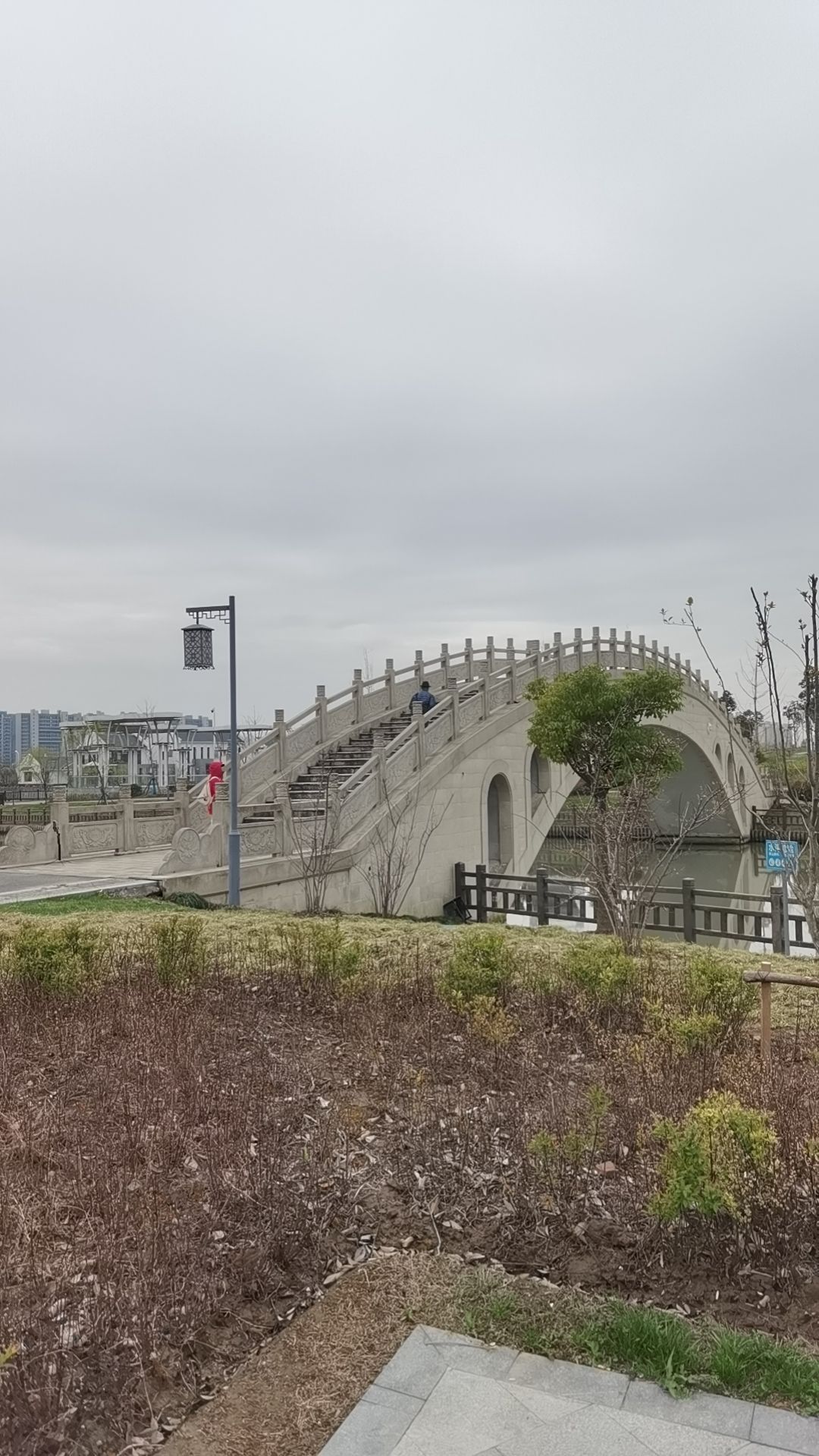 达令港公园旅行图片 2