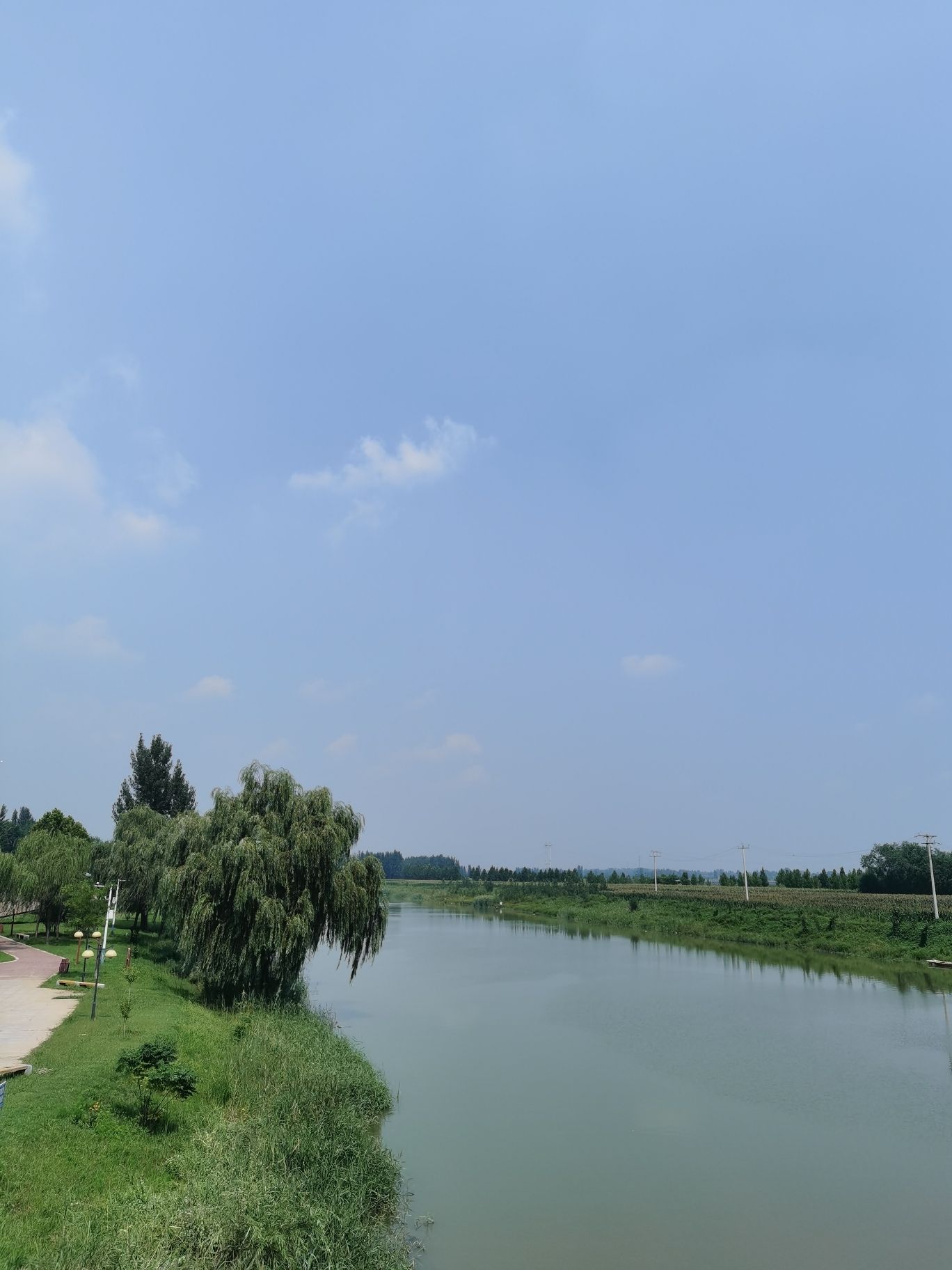 巨鹿县老漳河生态文化公园旅行图片 3