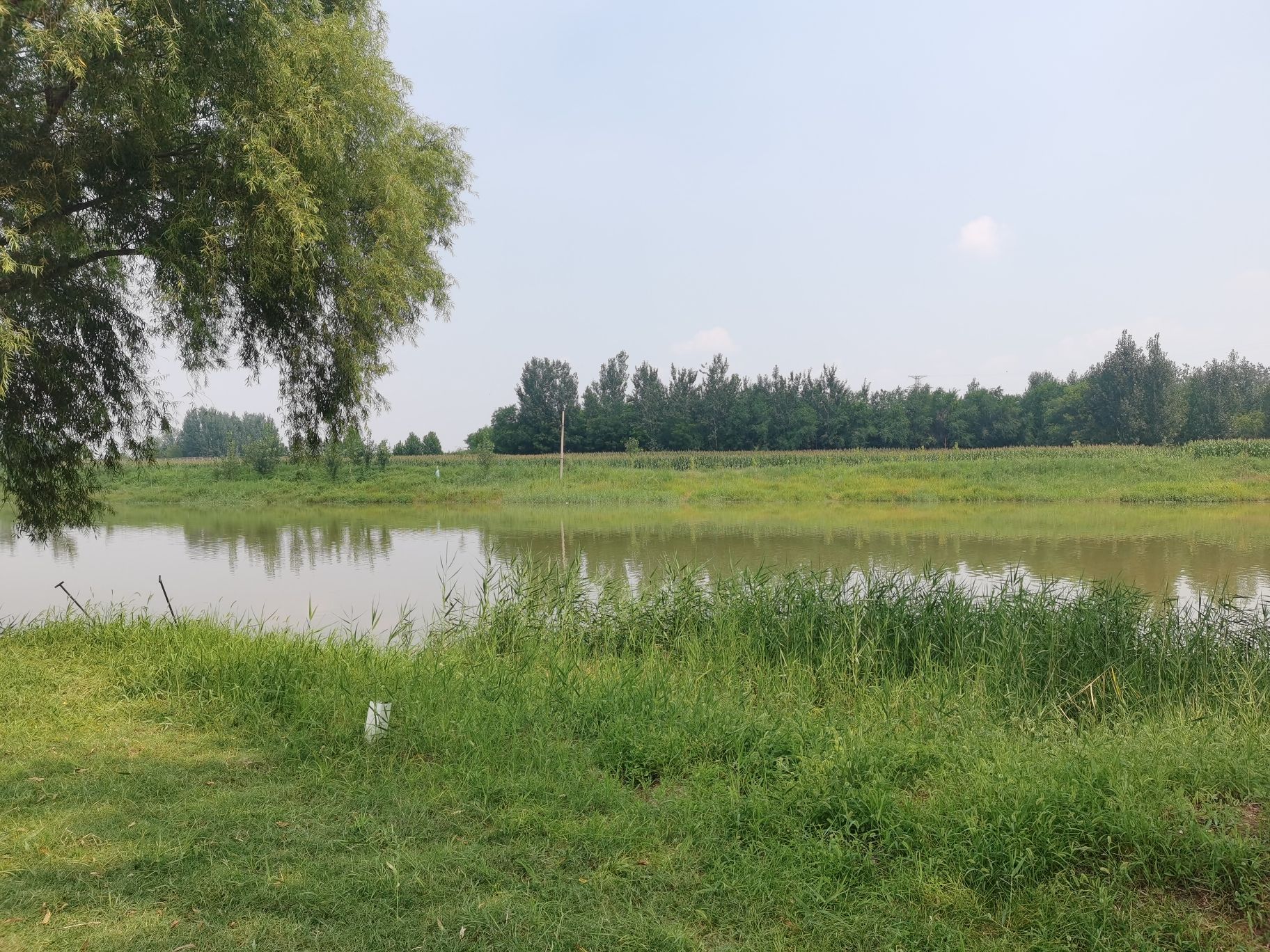 巨鹿县老漳河生态文化公园旅行图片 1