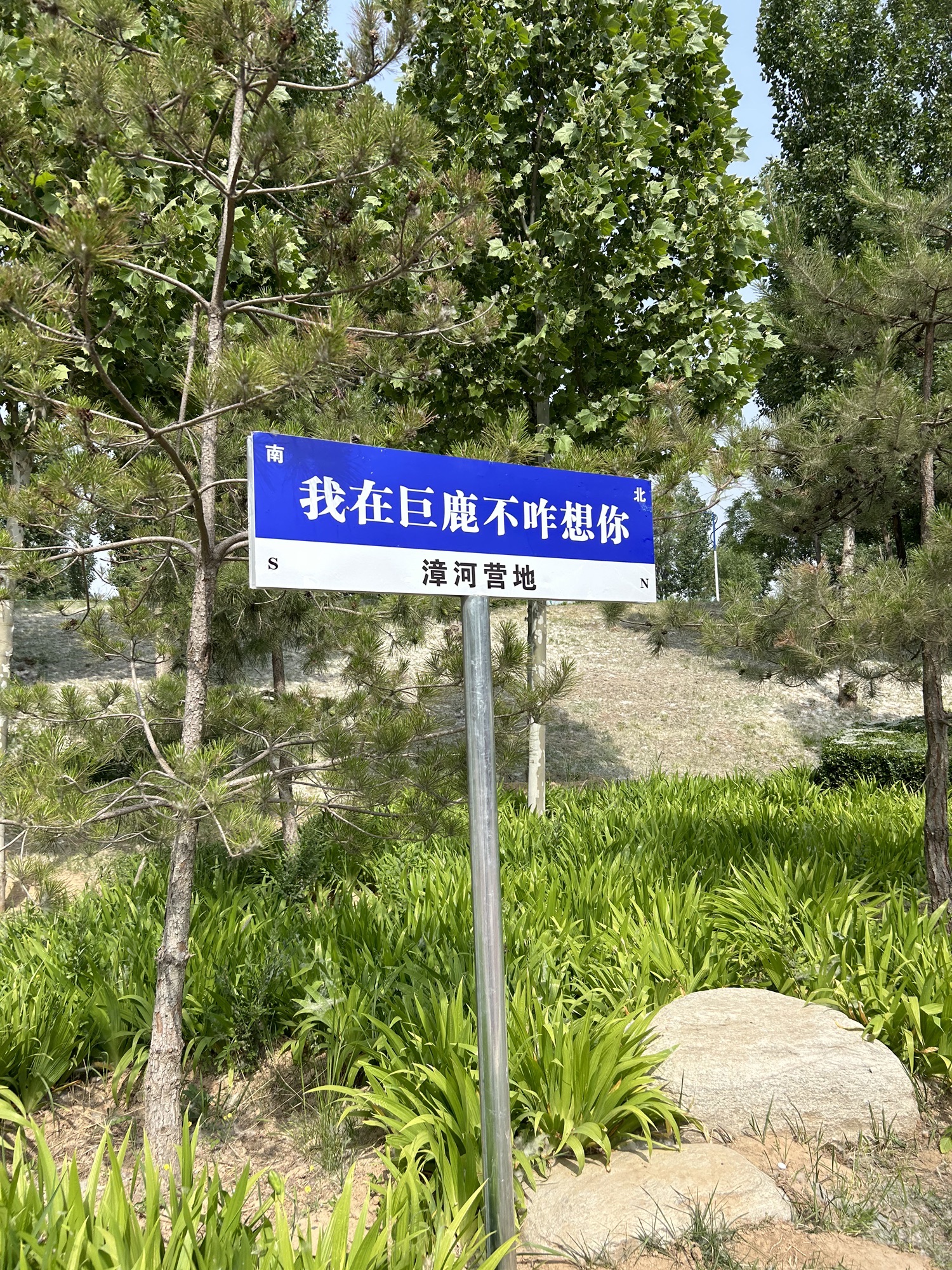 巨鹿县老漳河生态文化公园旅行图片 2