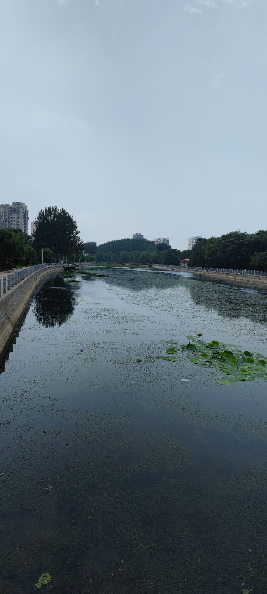 金州北大河公园旅行图片 1