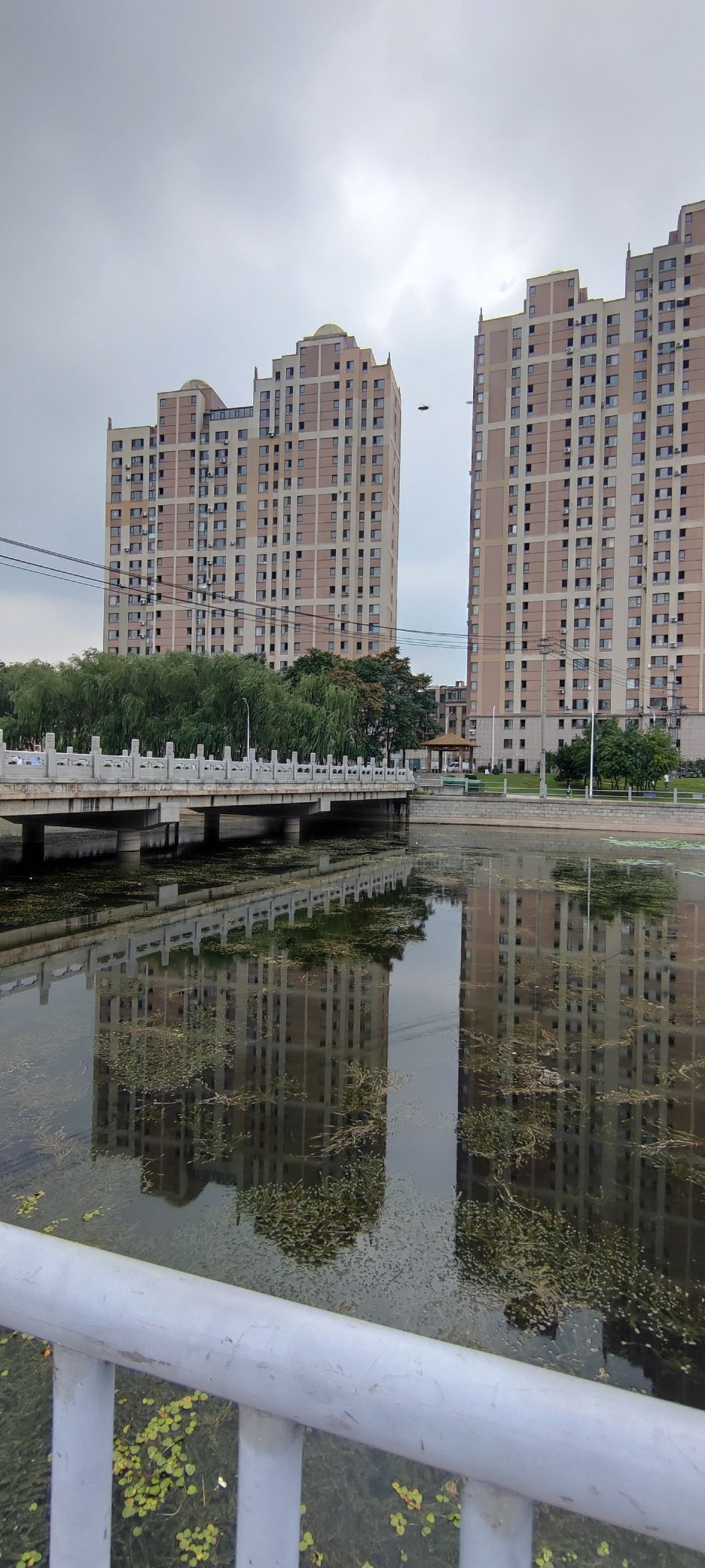 金州北大河公园旅行图片 2