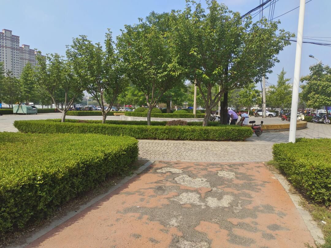 金州北大河公园旅行图片 1
