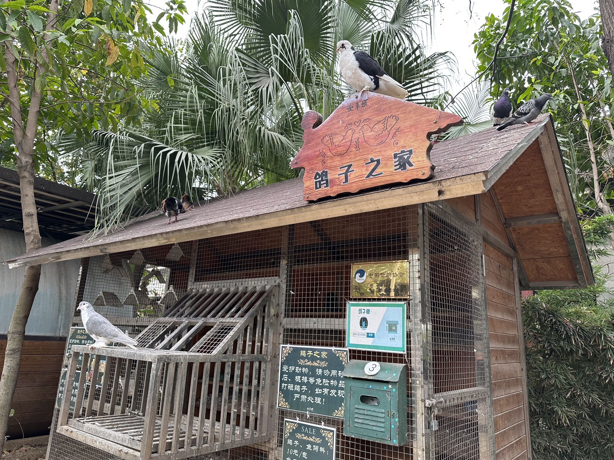 火车头植物园旅行图片 2