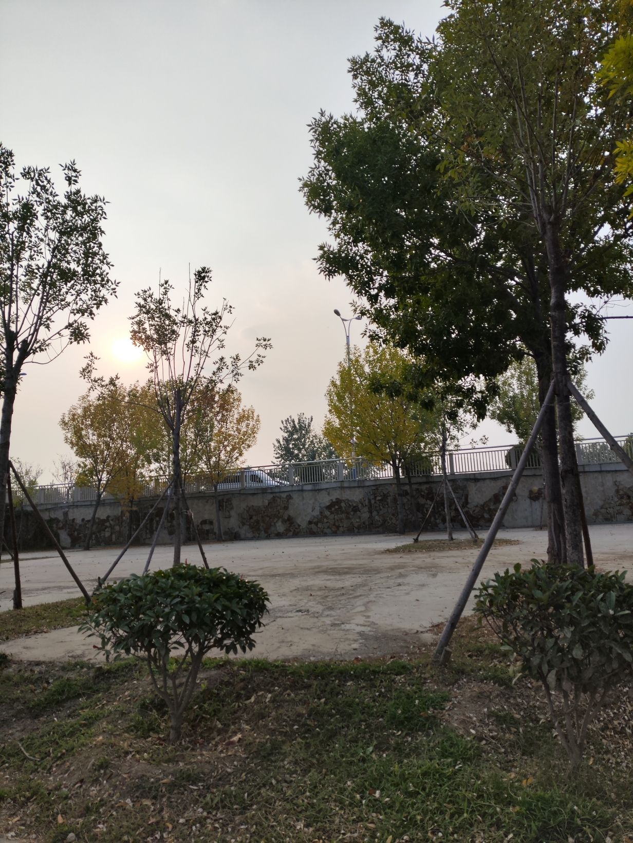 奥正诚园体育运动公园旅行图片 1
