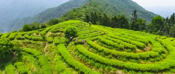漳平南洋国家湿地公园旅行图片 2