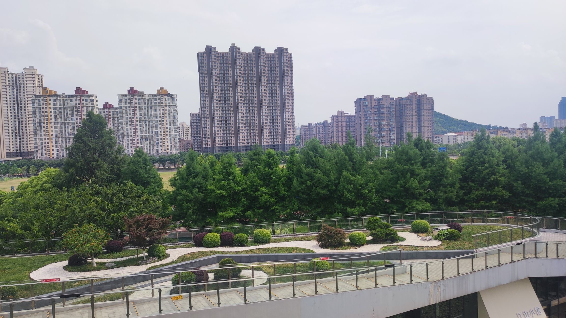 鲥鱼港公园旅行图片 3