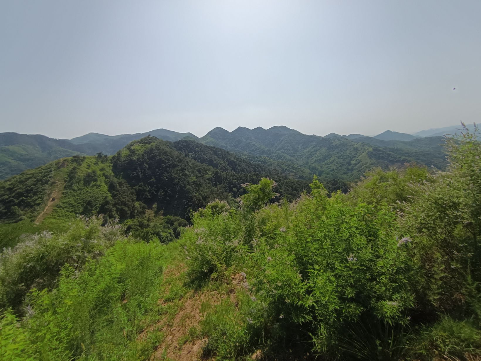 齐长城遗址旅行图片 3