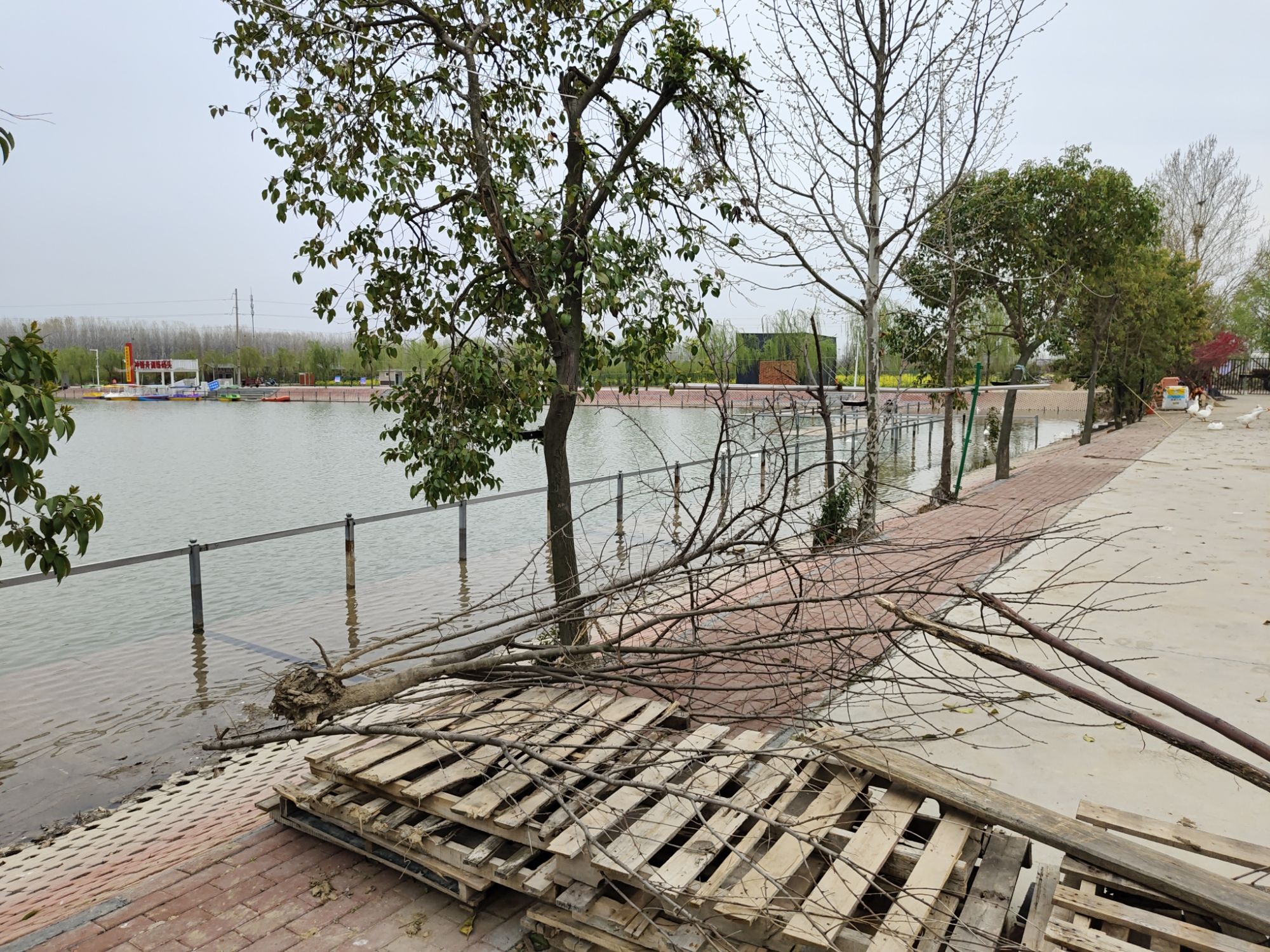 豫南百花谷风景区旅行图片 2