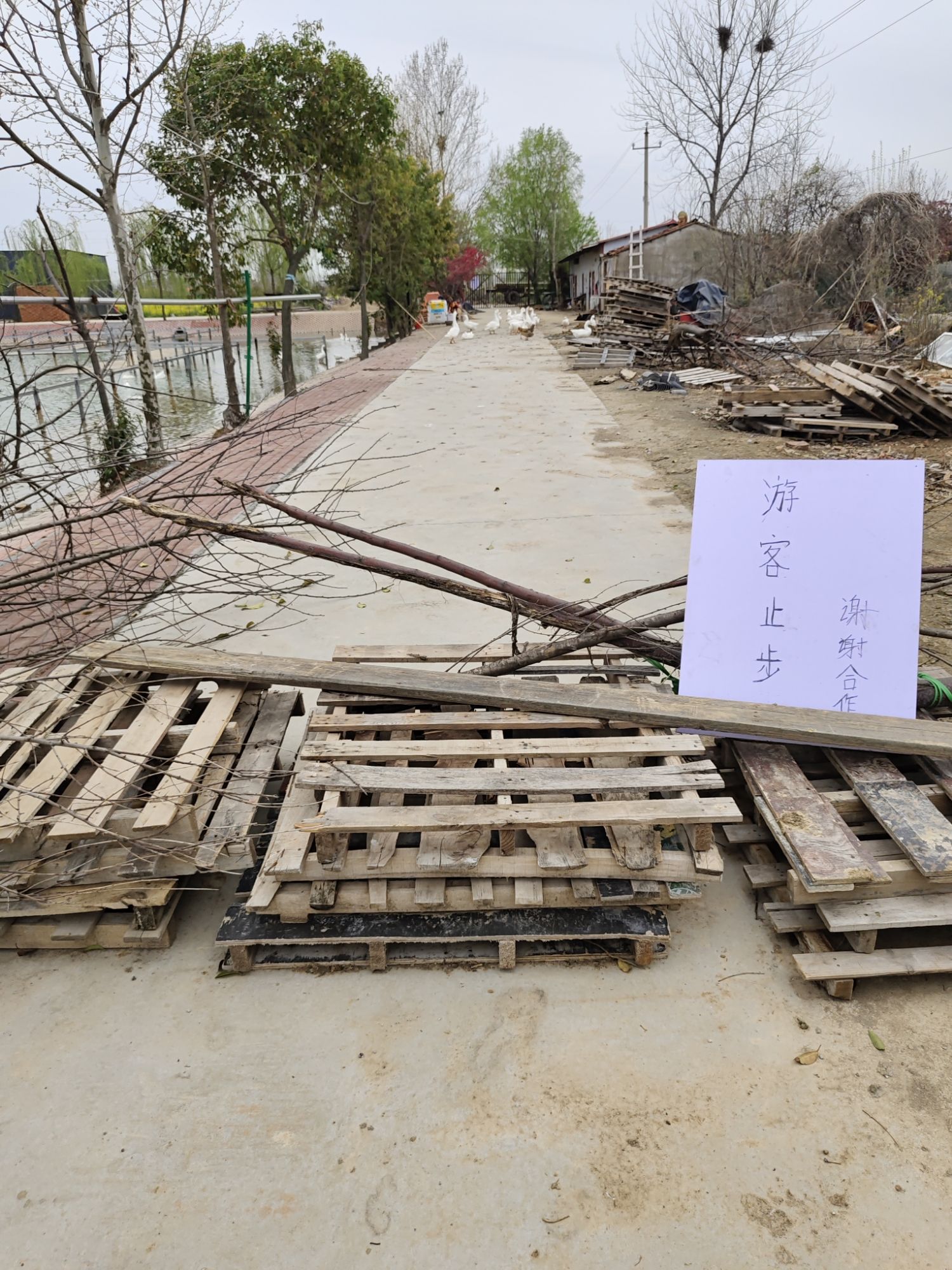 豫南百花谷风景区旅行图片 1