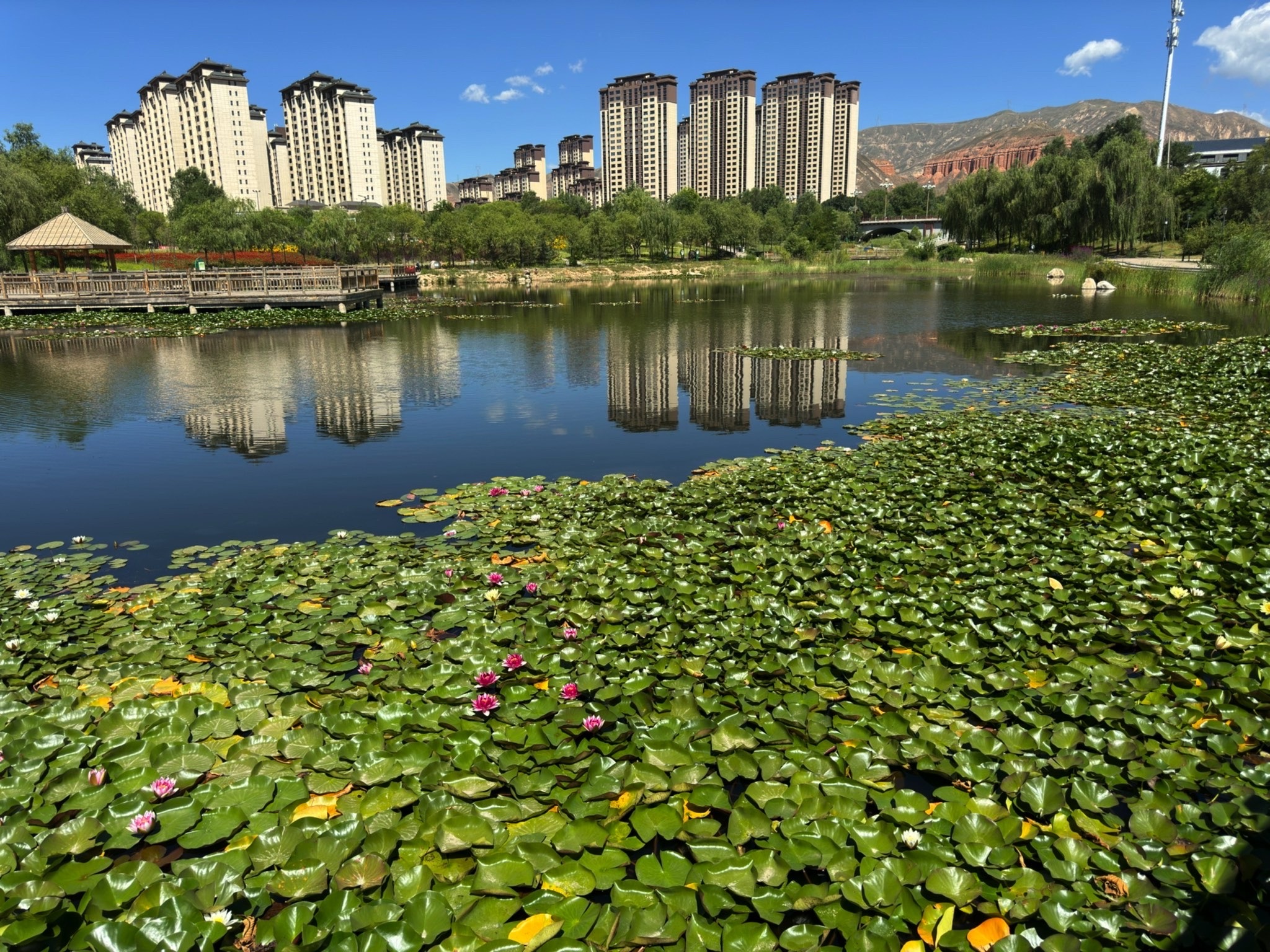 大地湾湿地公园