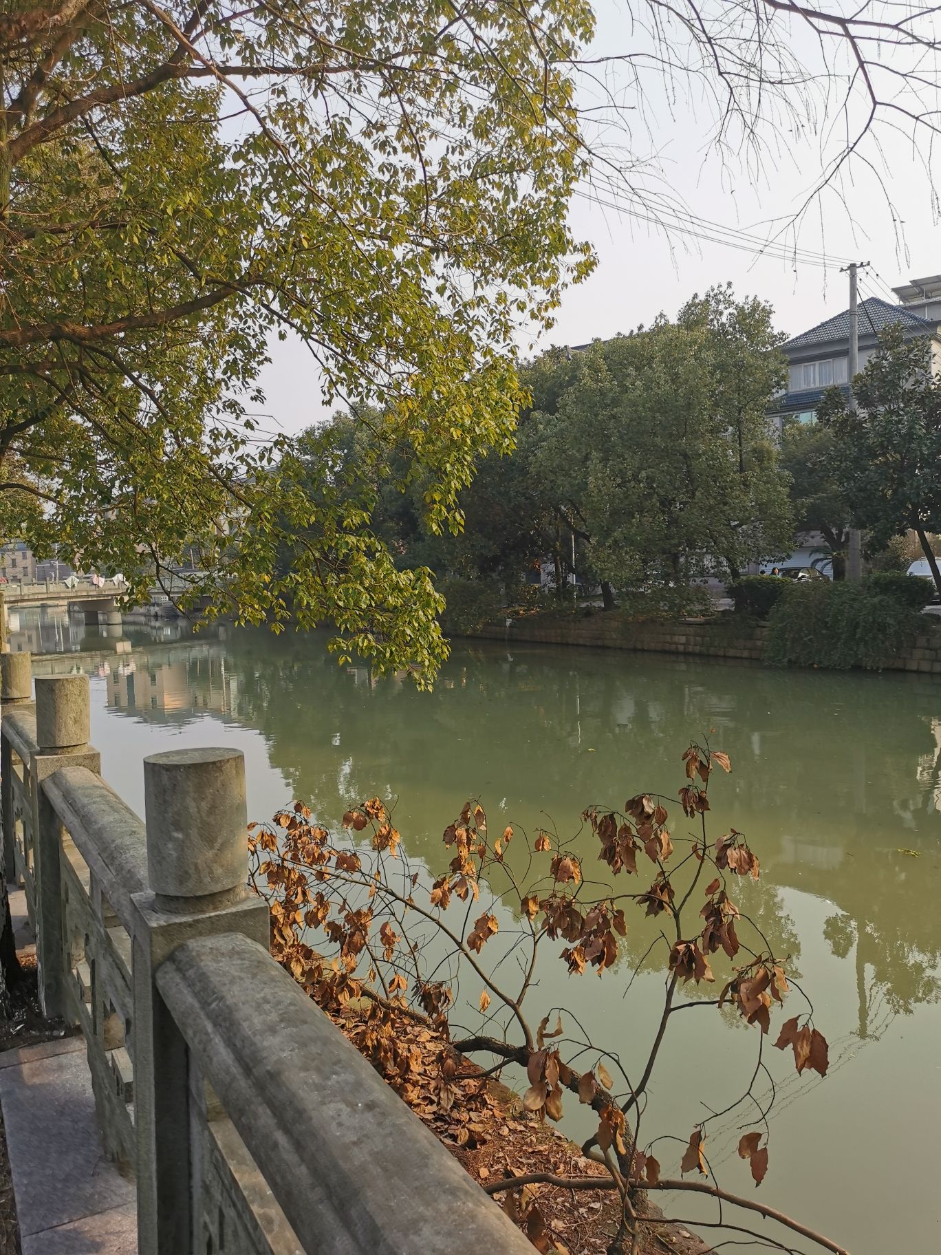 慧心广场旅行图片 3