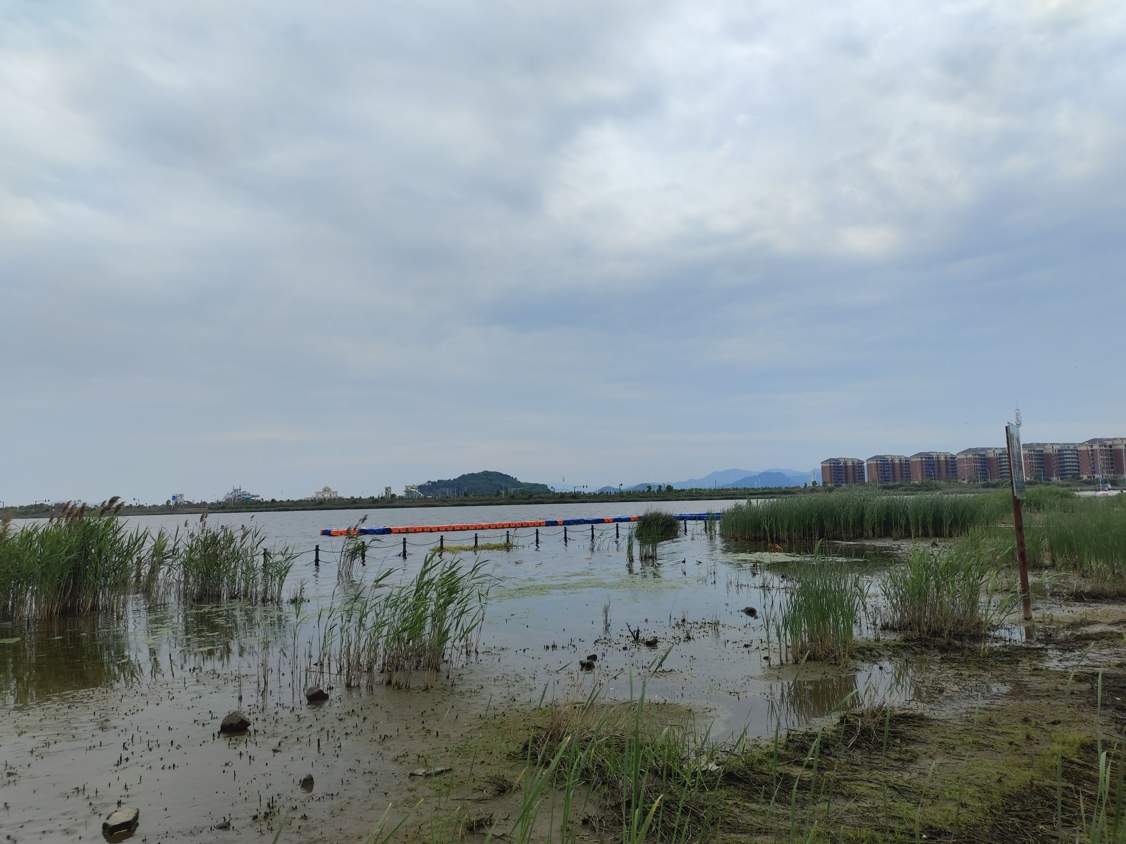 大目湾中心绿地旅行图片 2