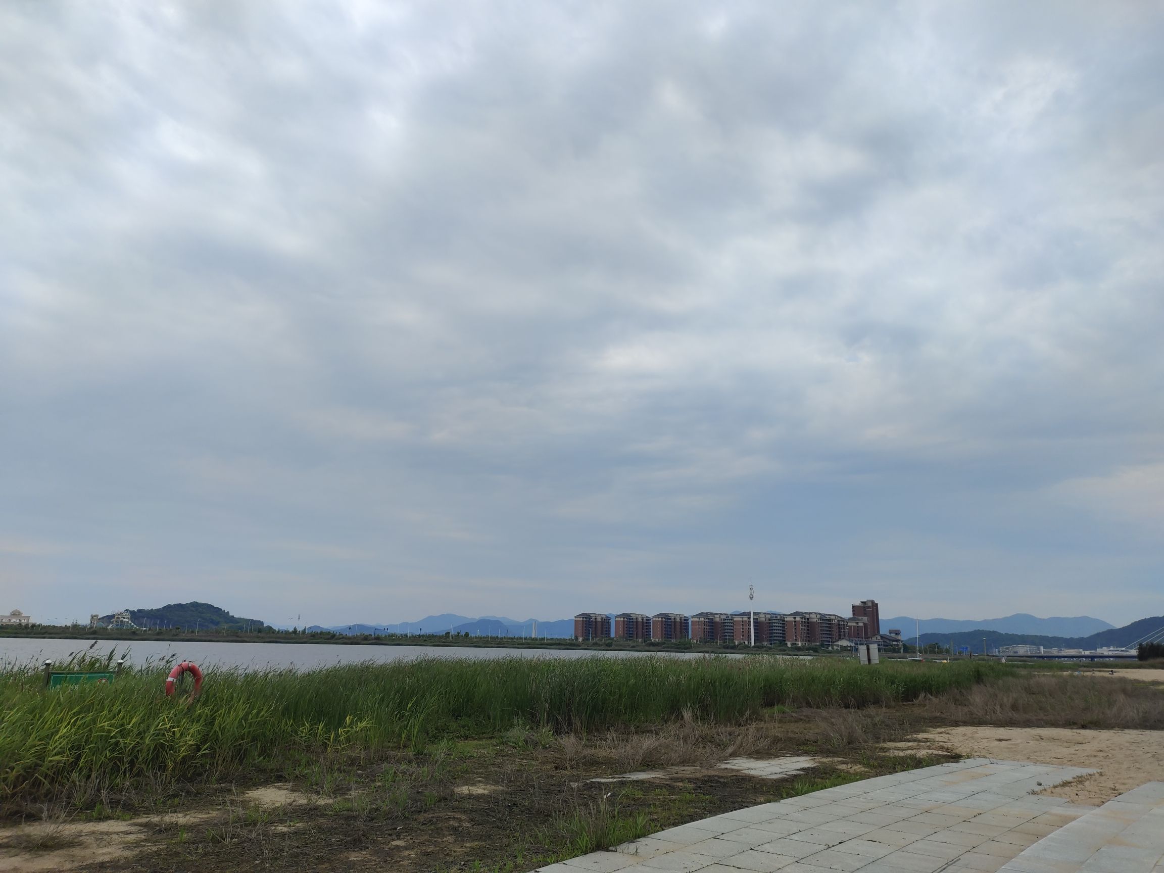 大目湾中心绿地旅行图片 3