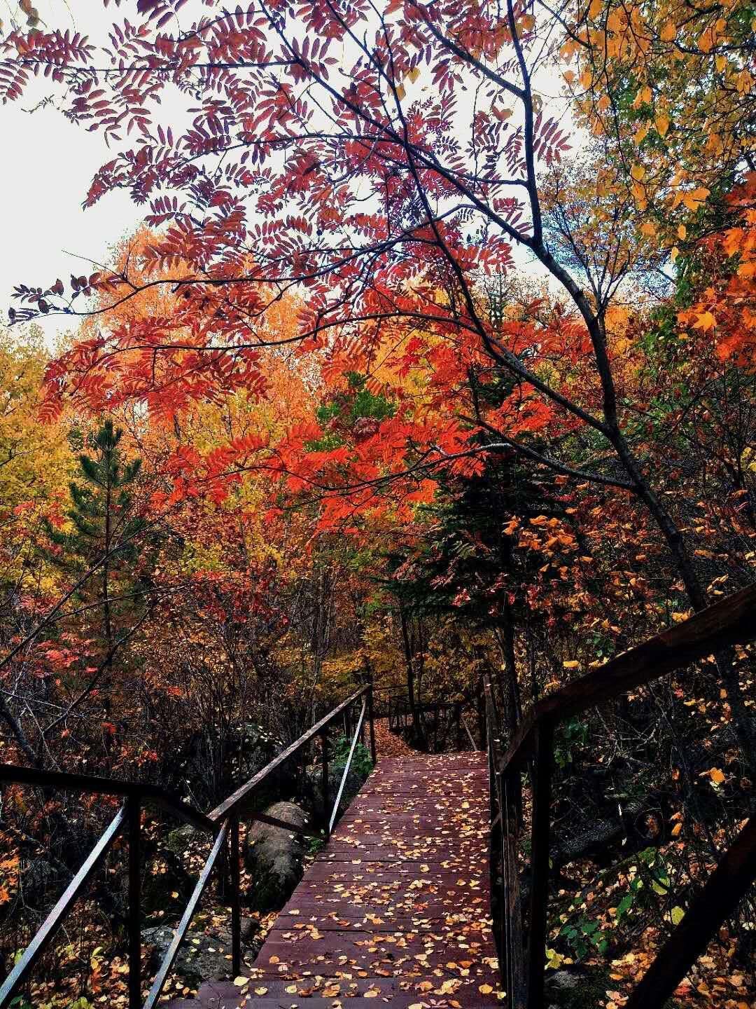 山戎部落(暂停营业)旅行图片 2