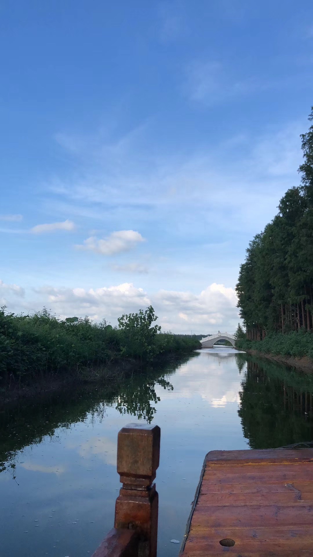 杉荷园景区旅行图片 2