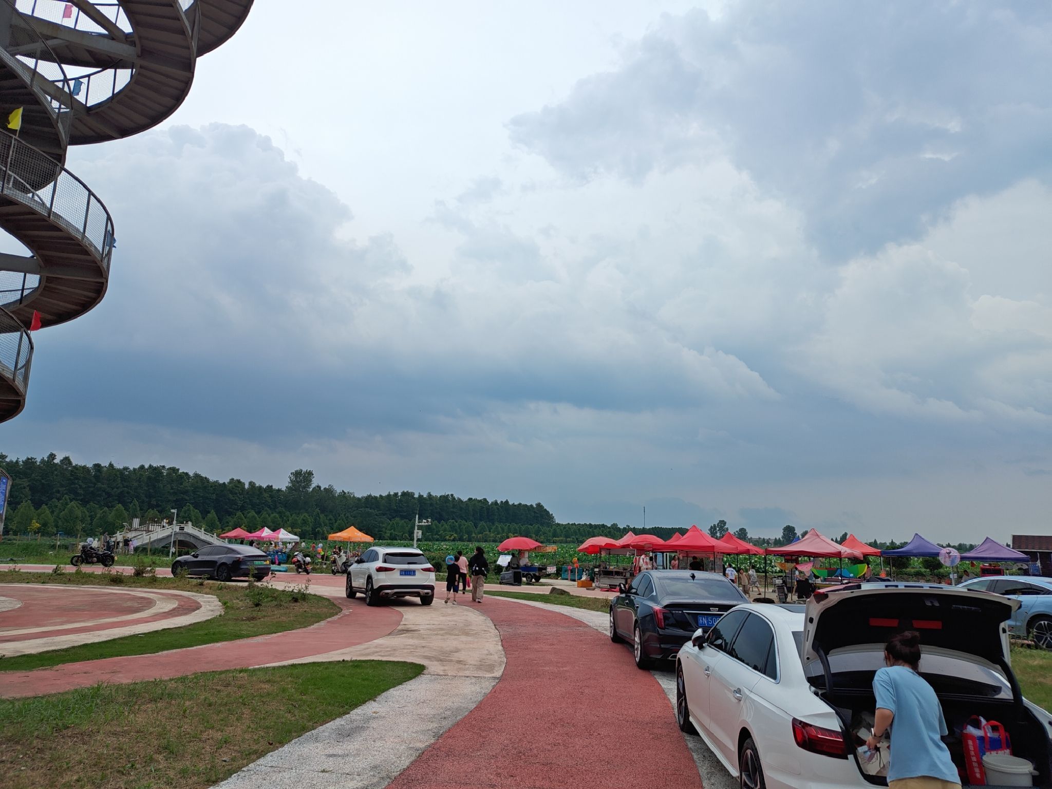 杉荷园景区旅行图片 3