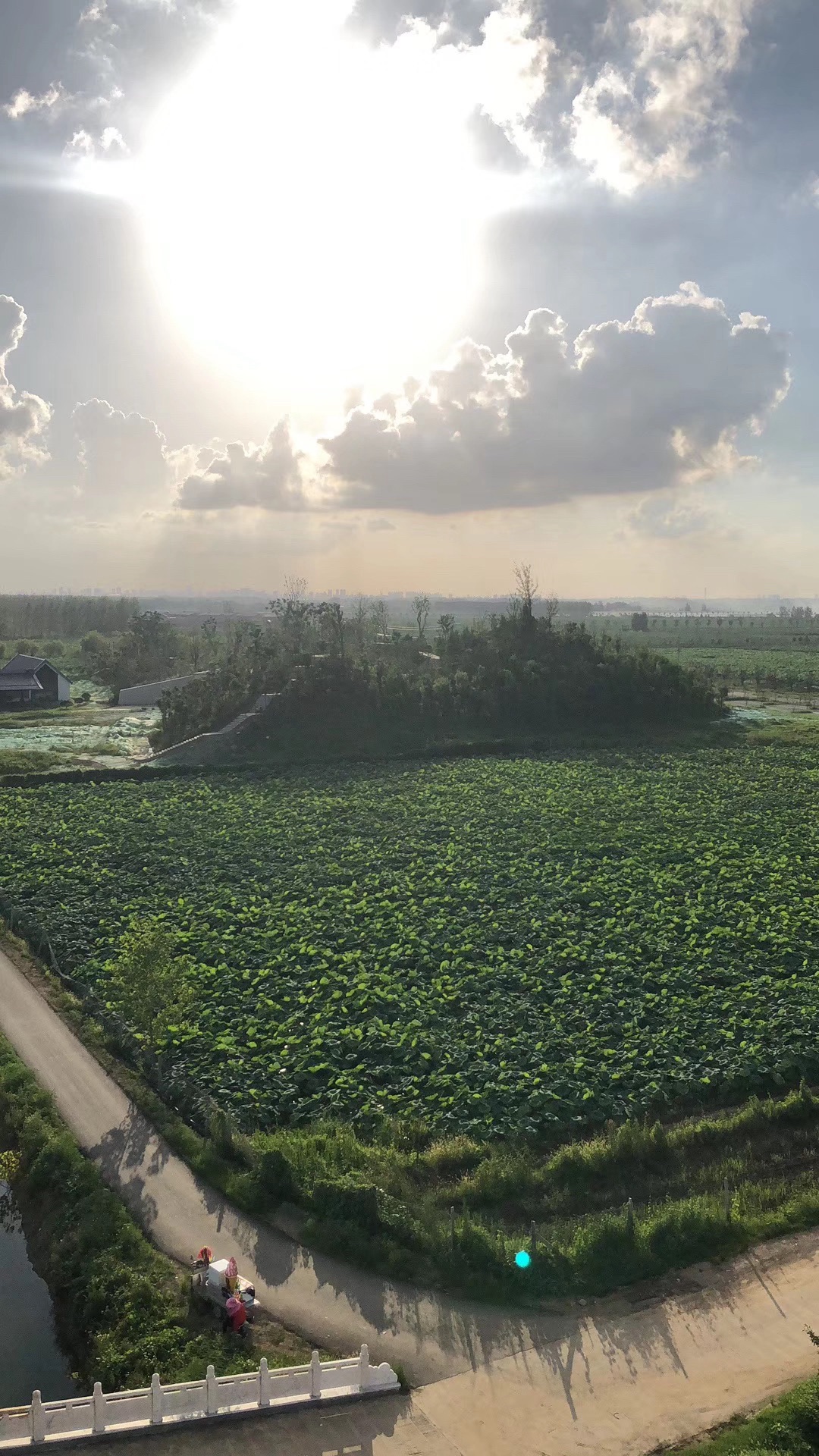 杉荷园景区旅行图片 3