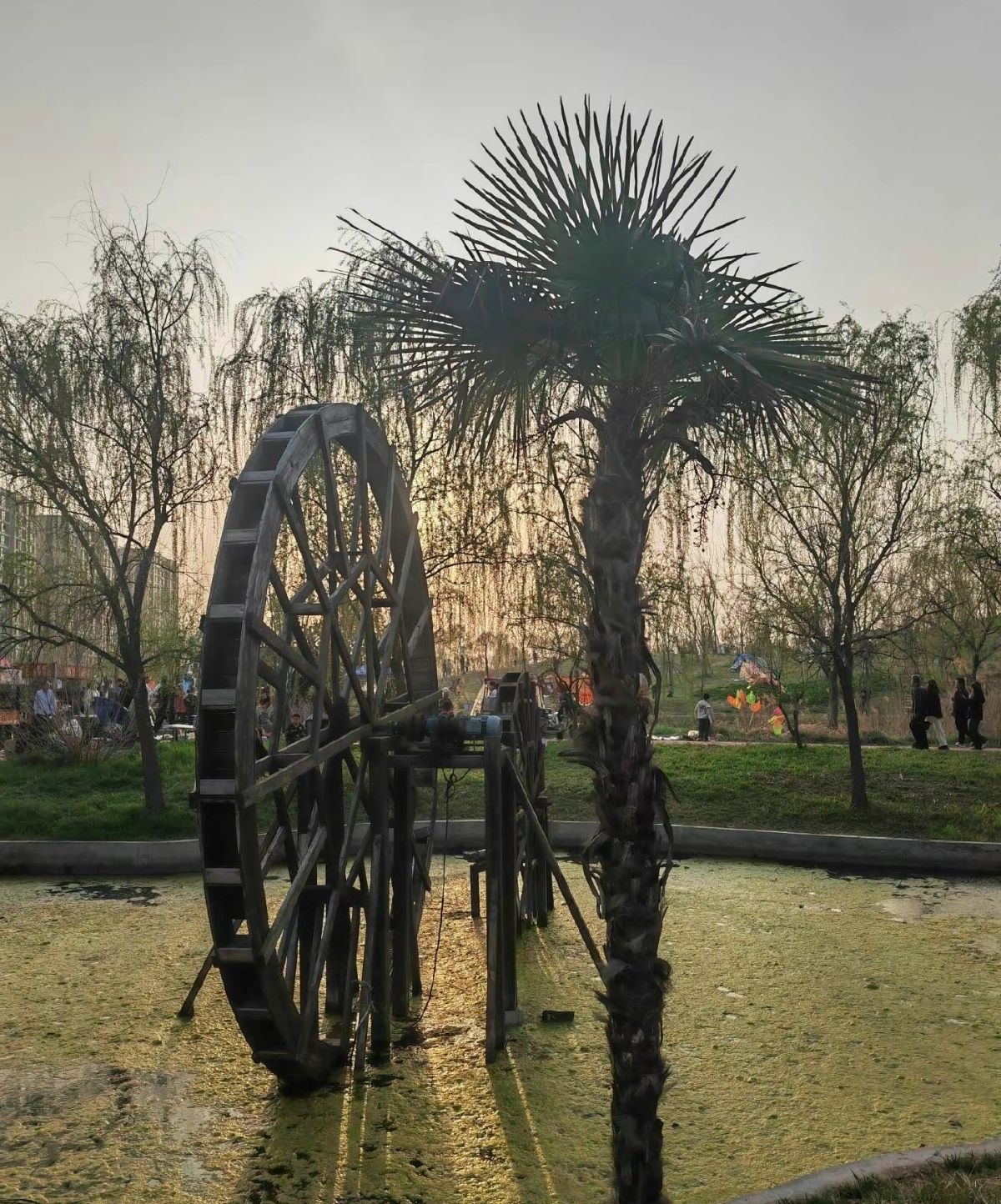 梨园湾景区旅行图片 1