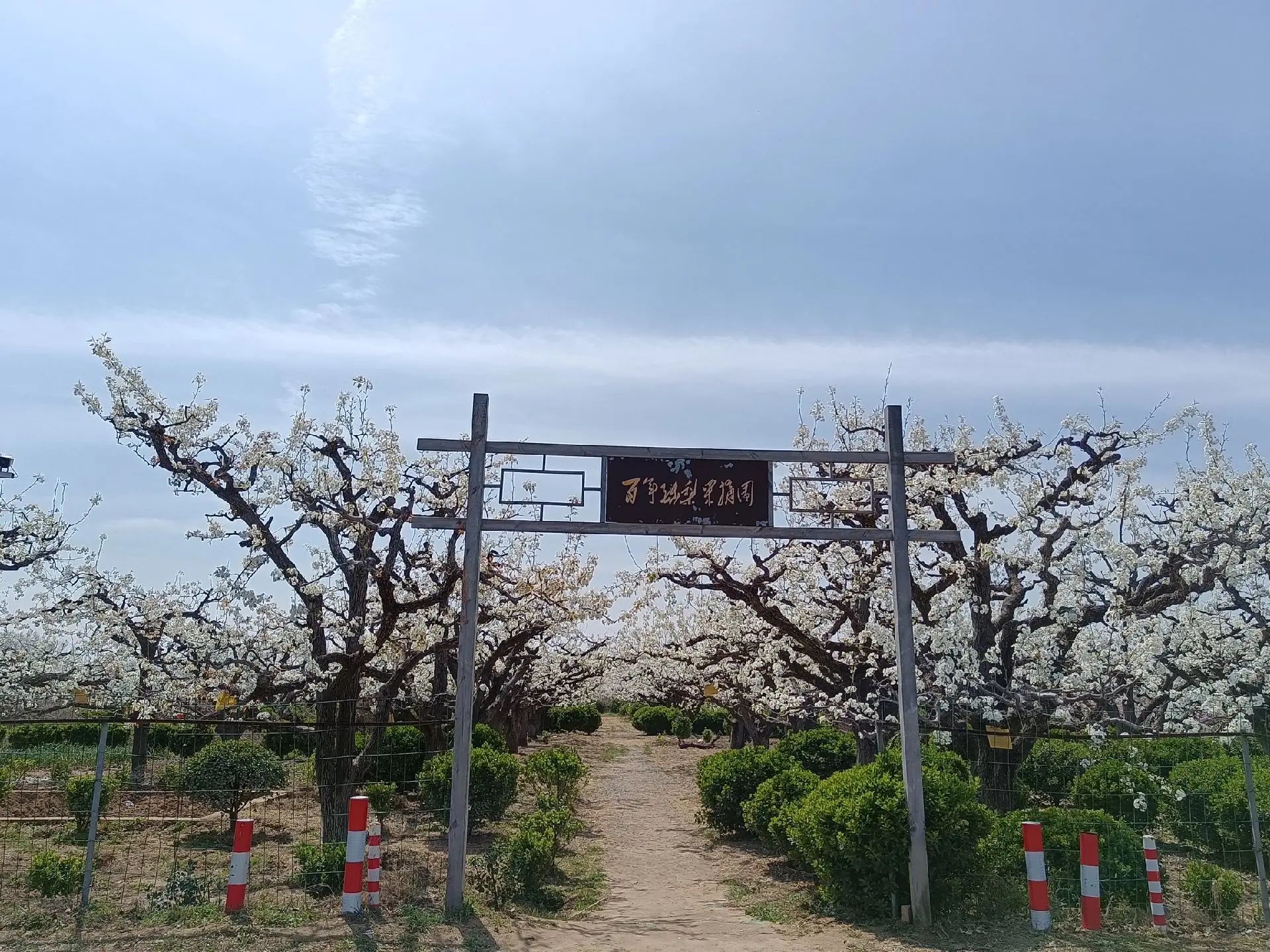 梨园湾景区
