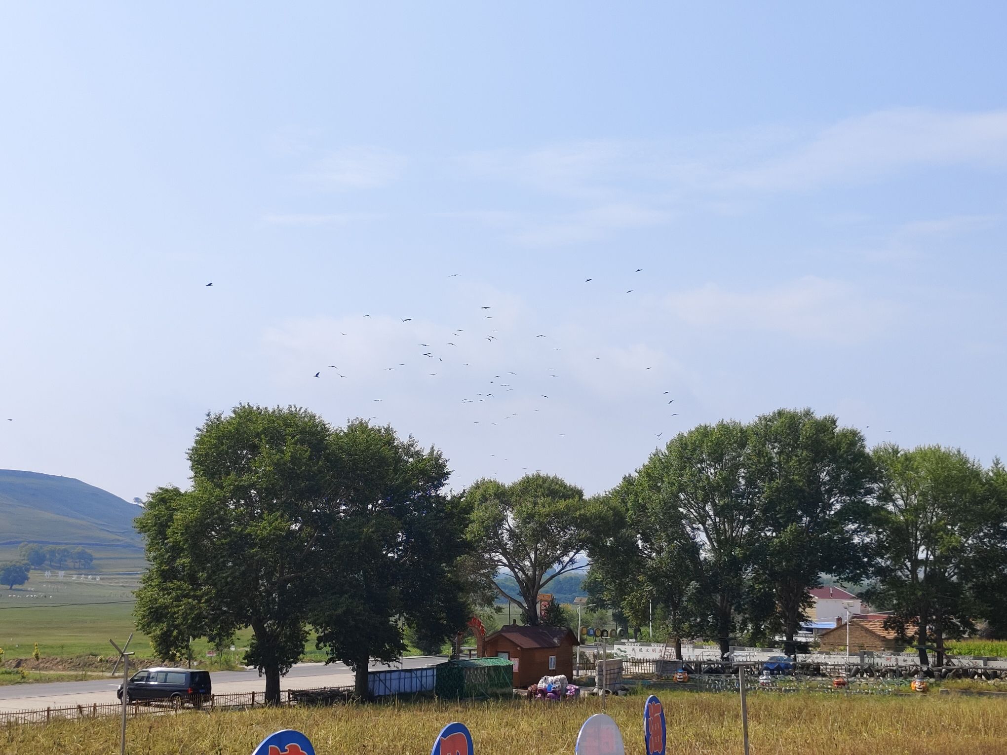 大圪垯石柱群旅行图片 1
