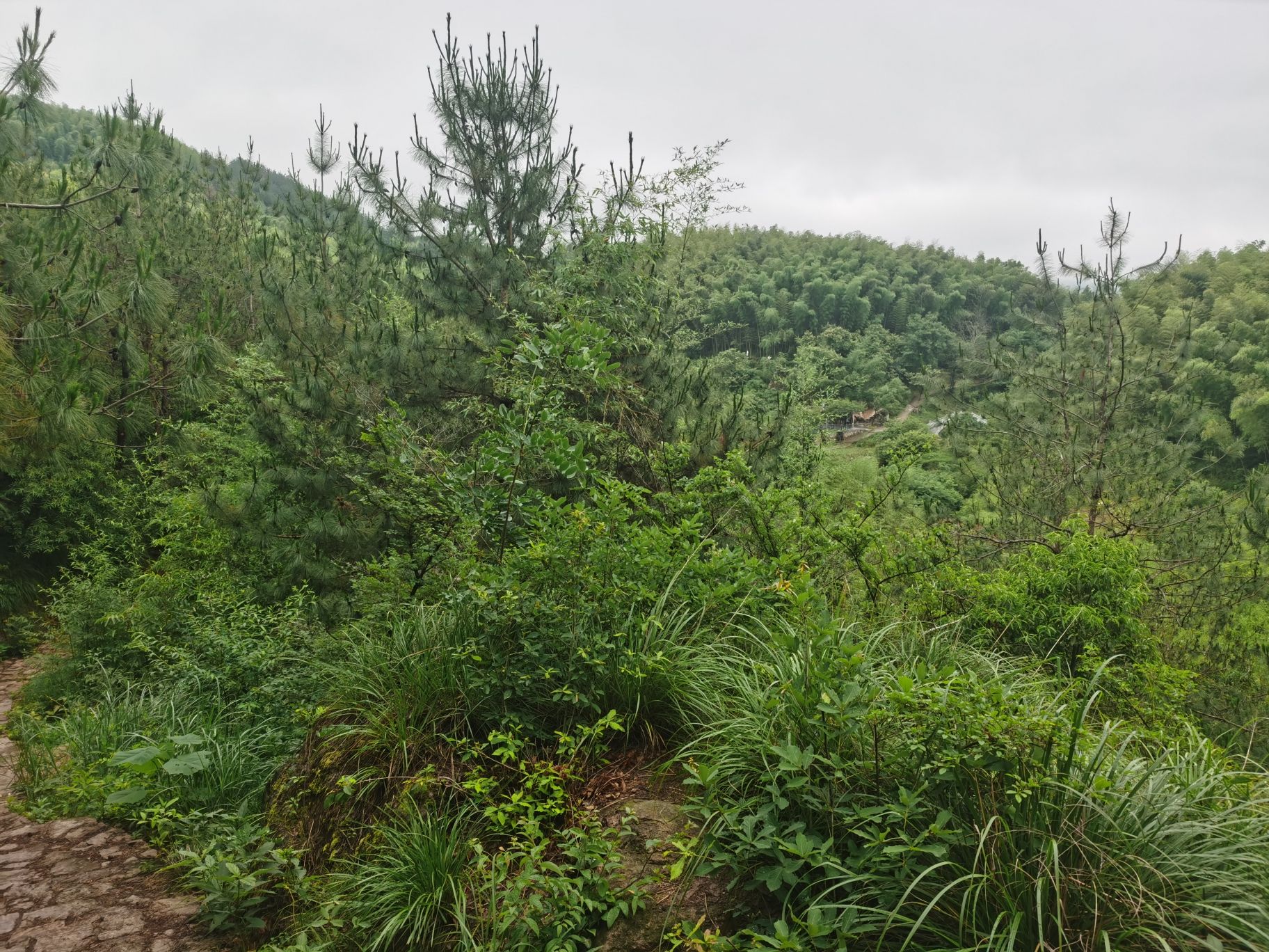 茅田山风景区旅行图片 2