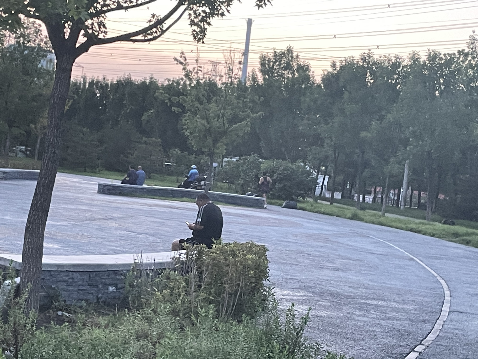 惠水湾森林旅行图片 3