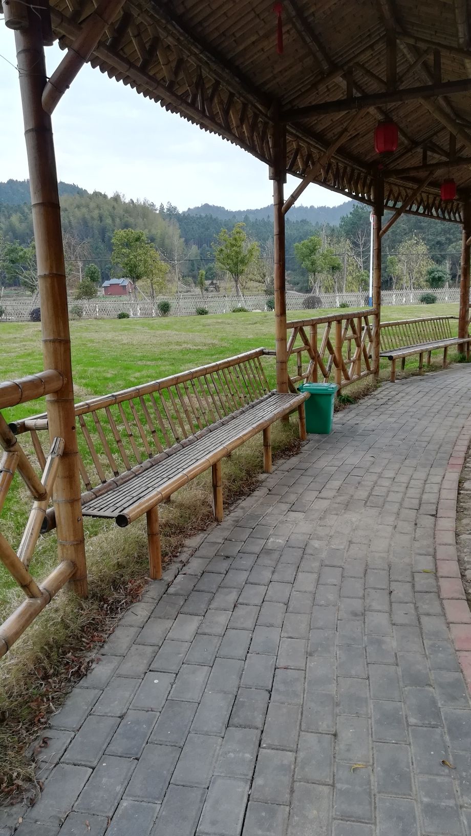 下保格桑花海旅行图片 3