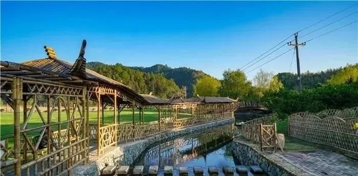 下保格桑花海旅行图片 3