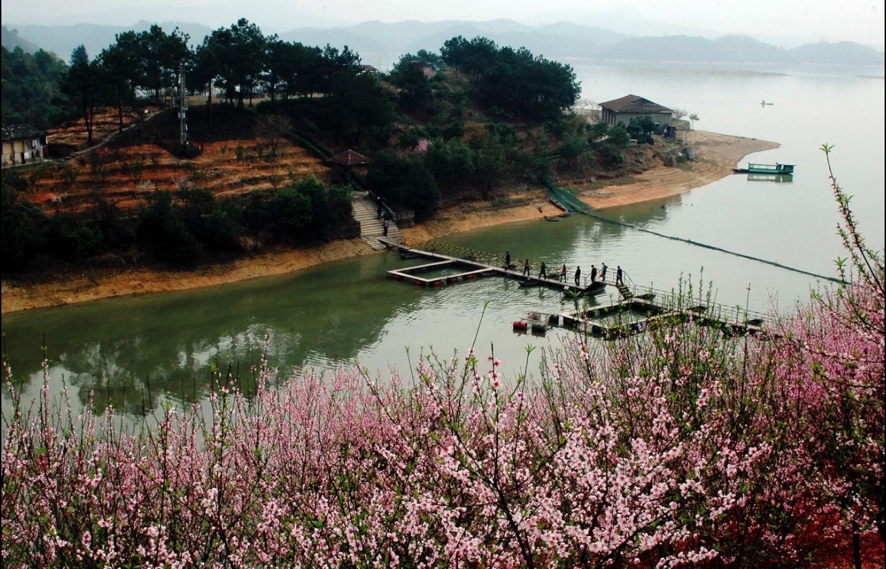 下保格桑花海旅行图片 3