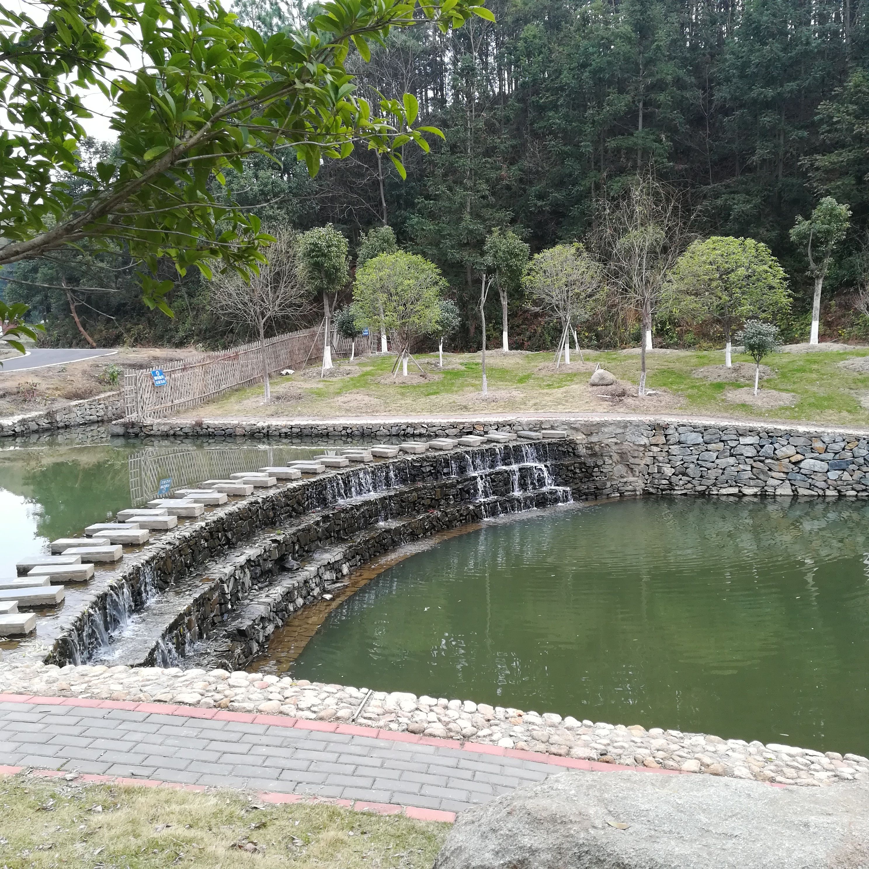 下保格桑花海旅行图片 1