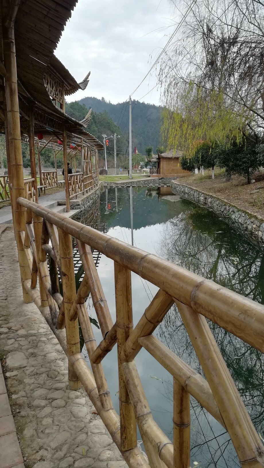 下保格桑花海旅行图片 2