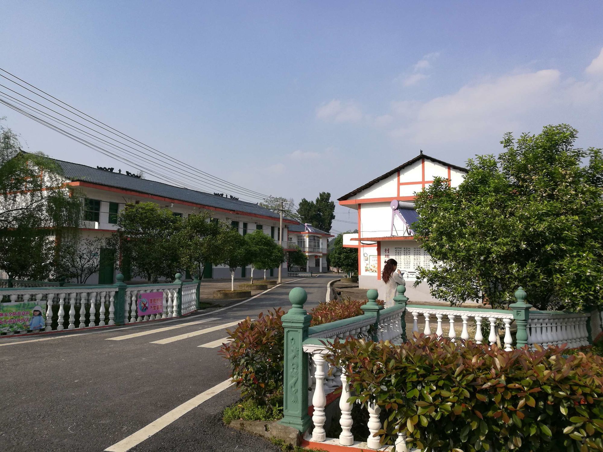 下保格桑花海旅行图片 2