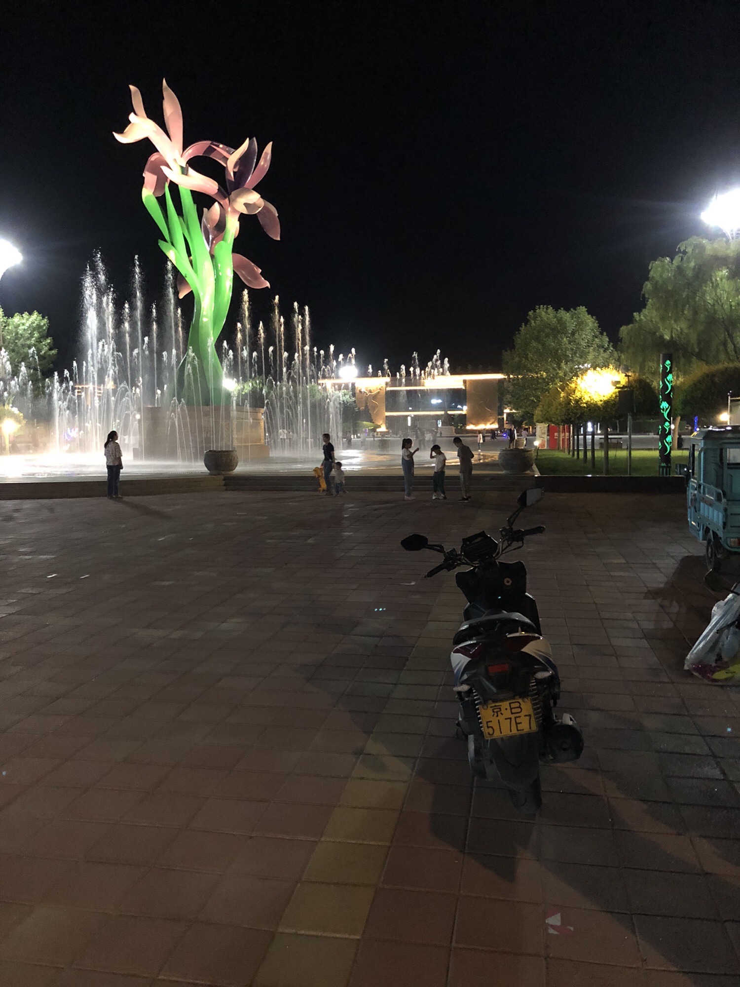 马兰花广场旅行图片 1