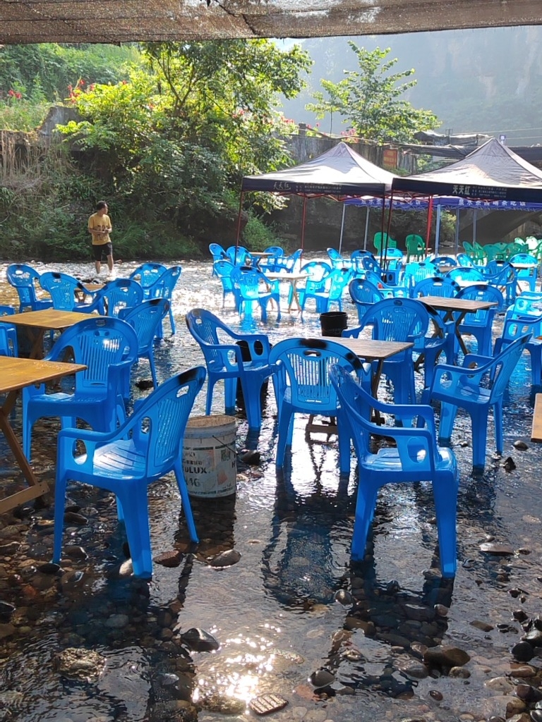 场地封面-河滩茶园