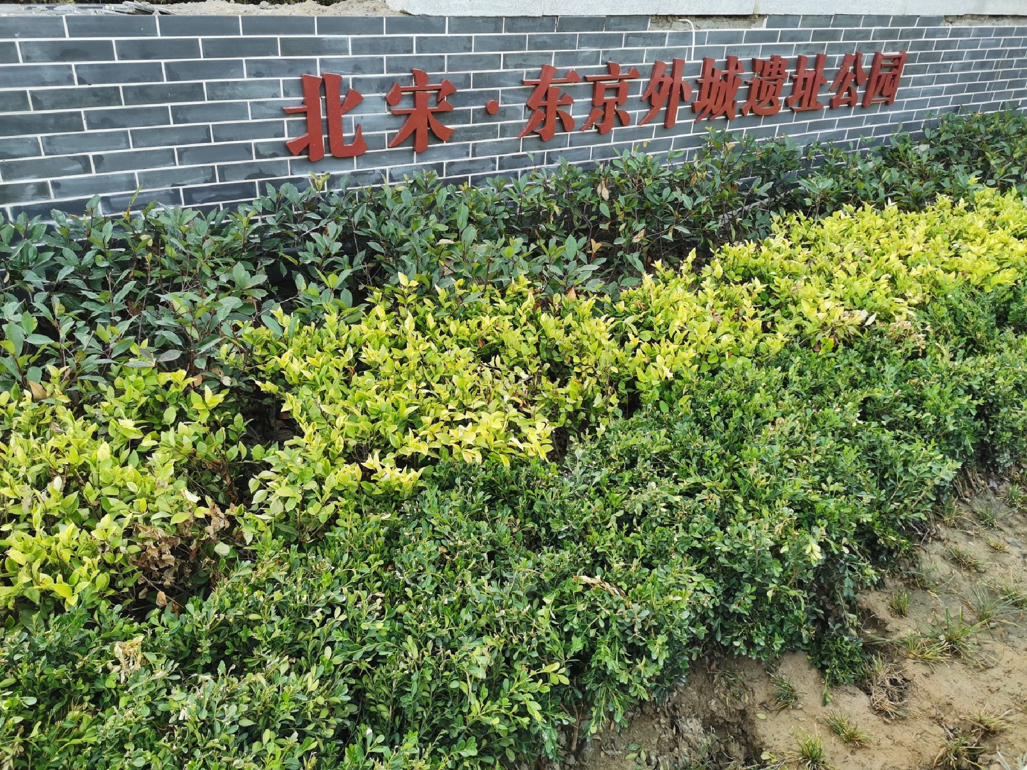 北宋·东京外城遗址公园旅行图片 1