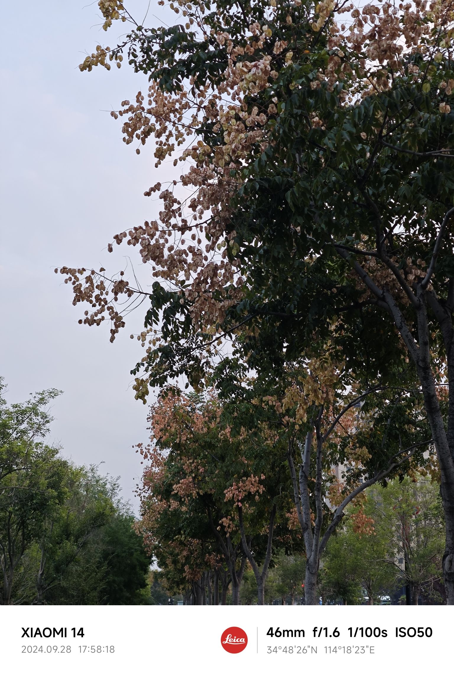 北宋·东京外城遗址公园旅行图片 3