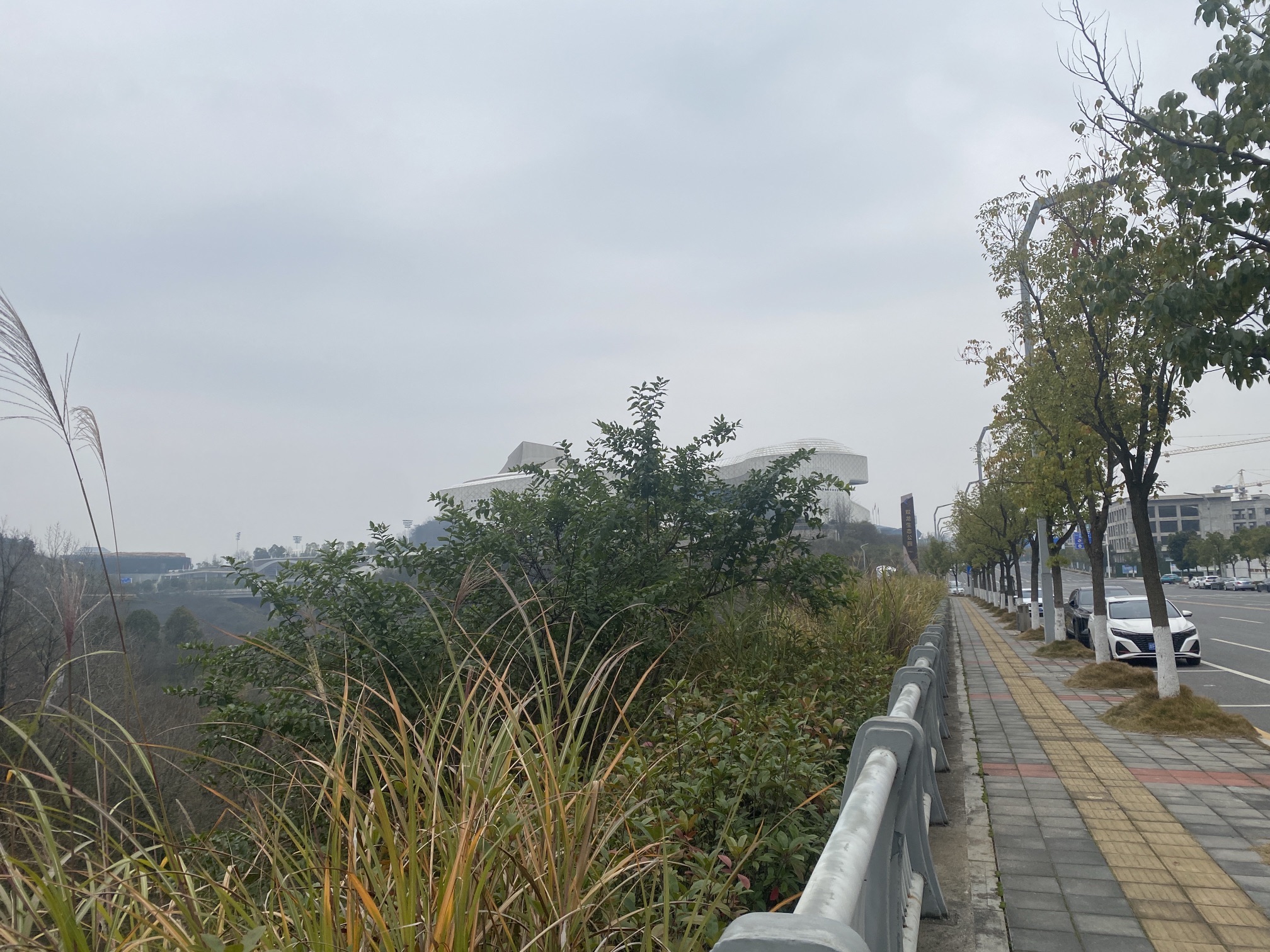 双龙生态公园旅行图片 2