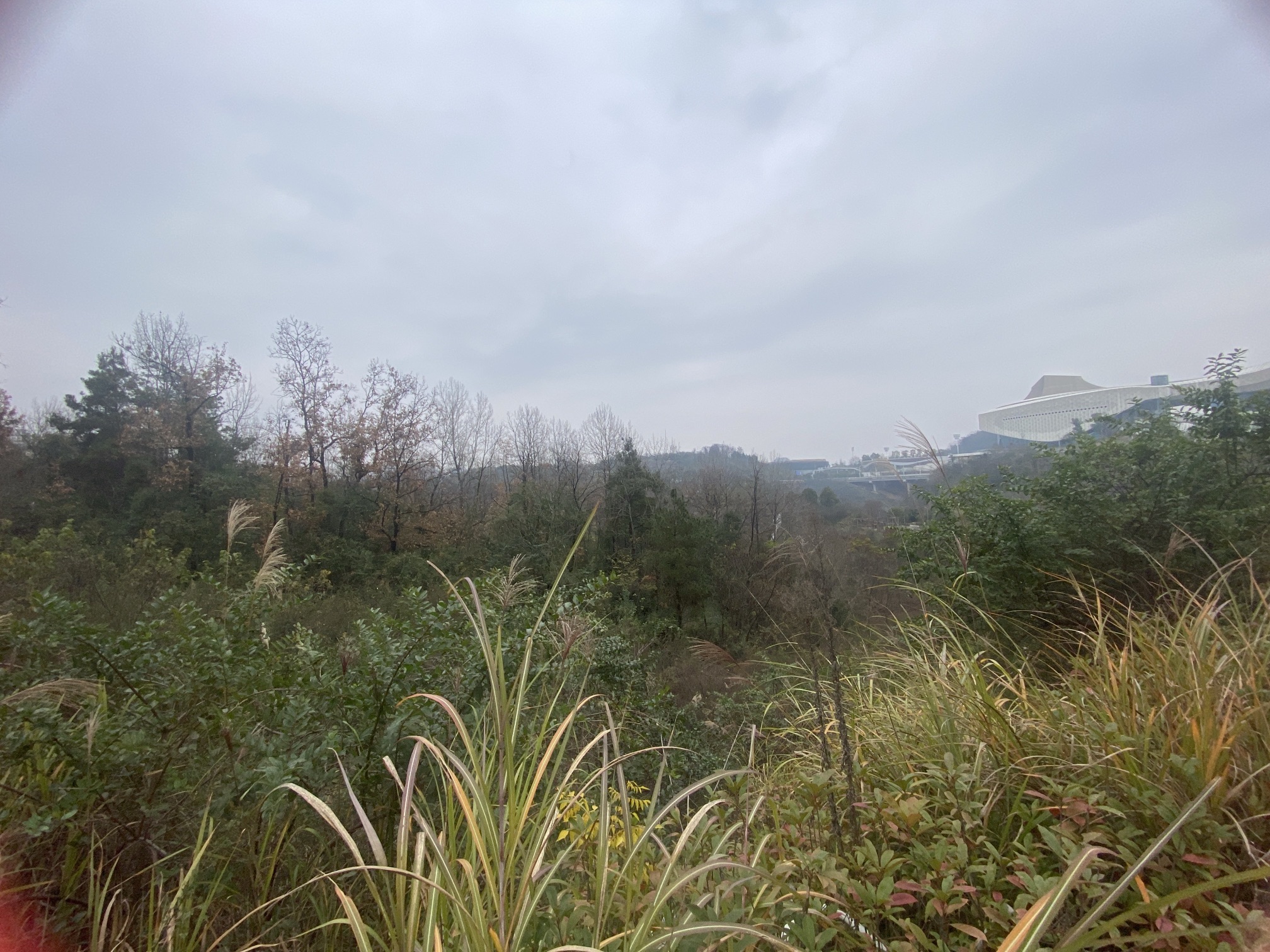 双龙生态公园旅行图片 1