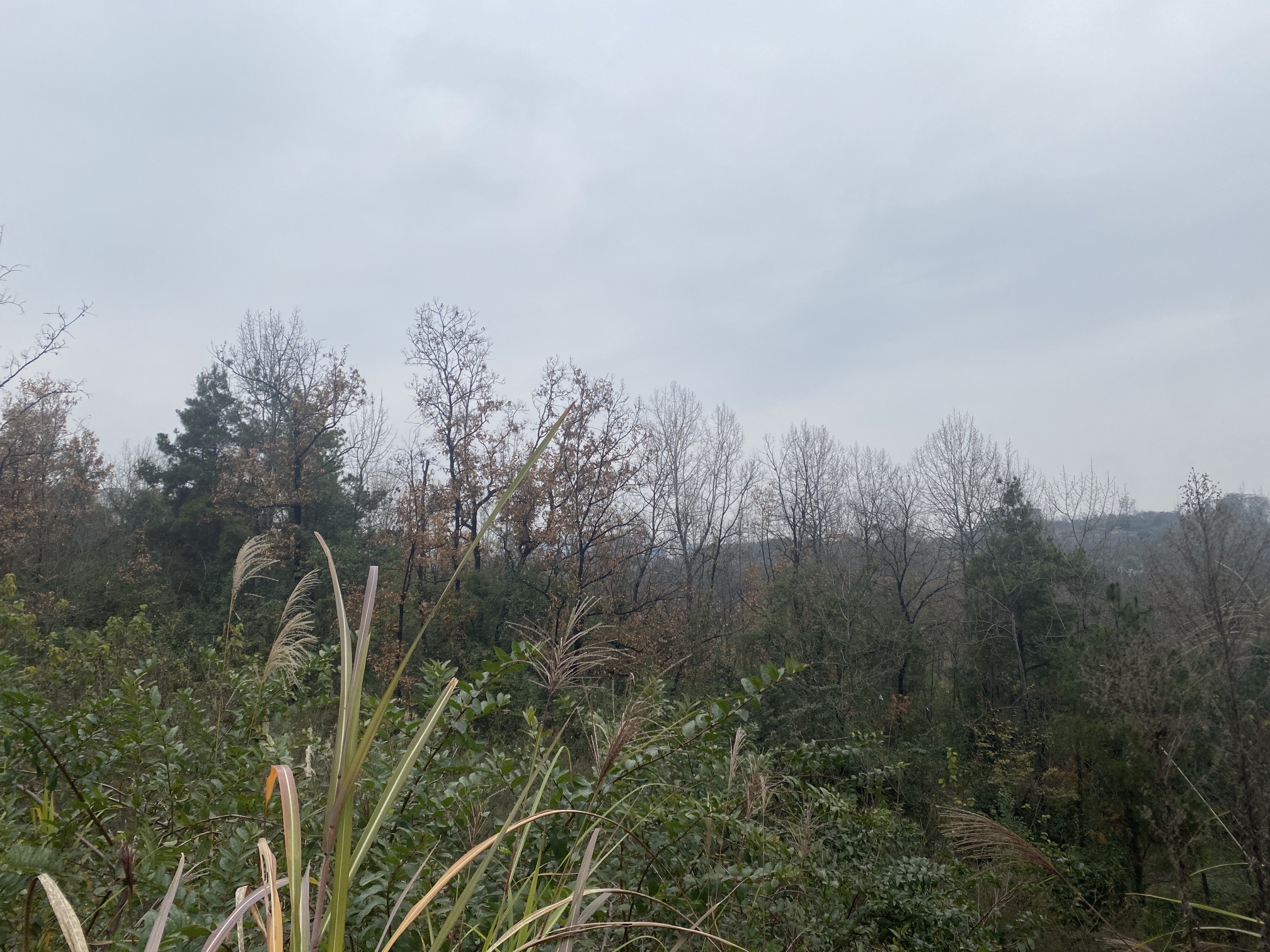 双龙生态公园旅行图片 3